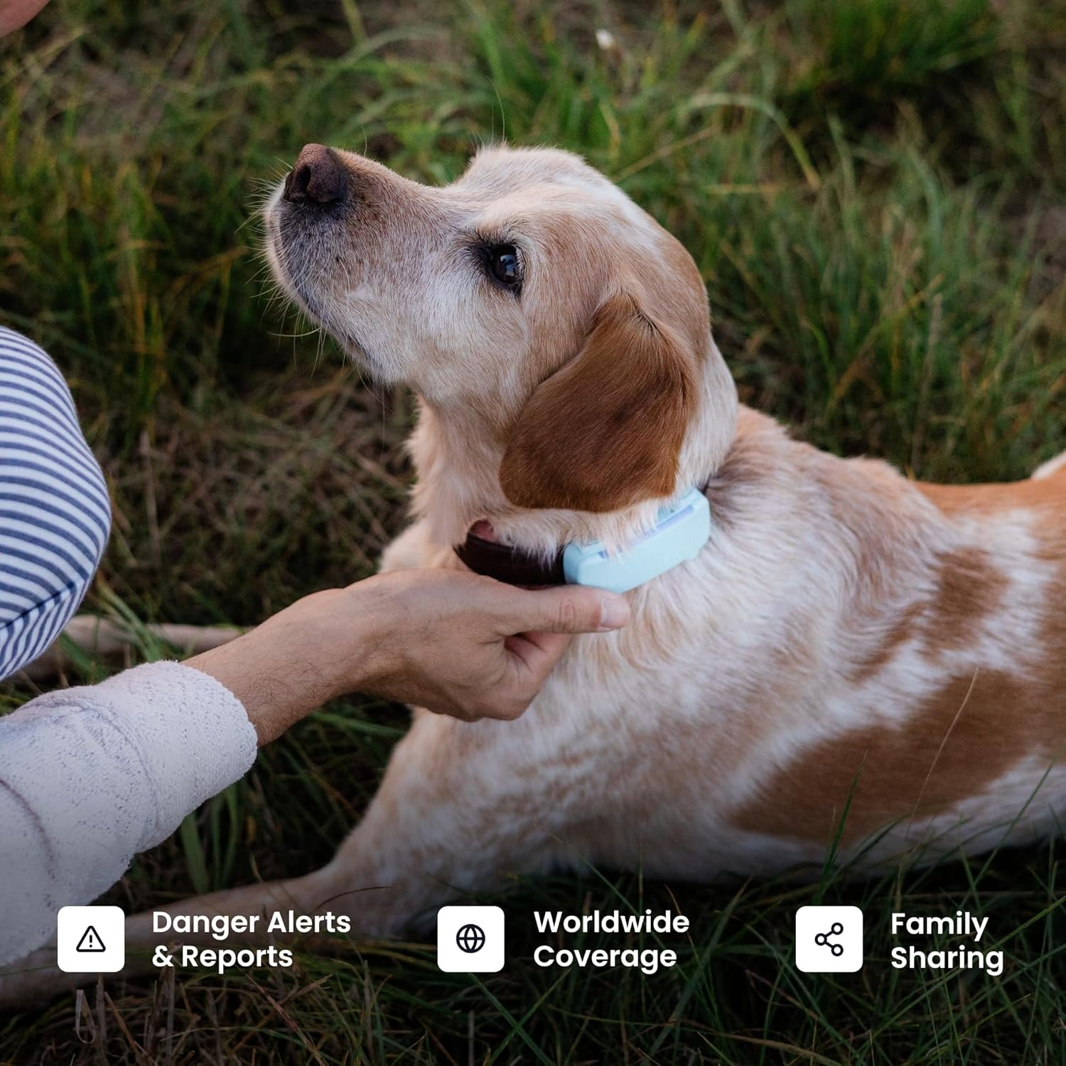Tractive Smart Dog GPS Tracker | Live Pet Tracker with Virtual Fence | Vital Signs Monitoring of Heart & Respiratory Rate | Bark Monitoring | Dog Collar Attachment (Mint) - Image 8