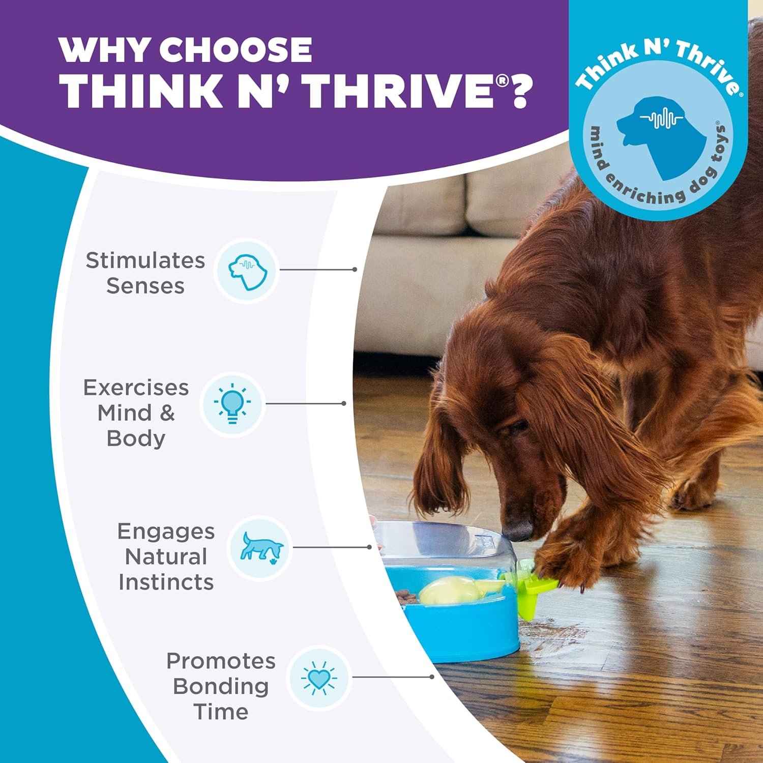 Outward Hound Nina Ottosson Paw N' Play Interactive Dog Treat Puzzle, Level 2 Intermediate Dog Enrichment Dog Toy, Blue, Small - Image 6