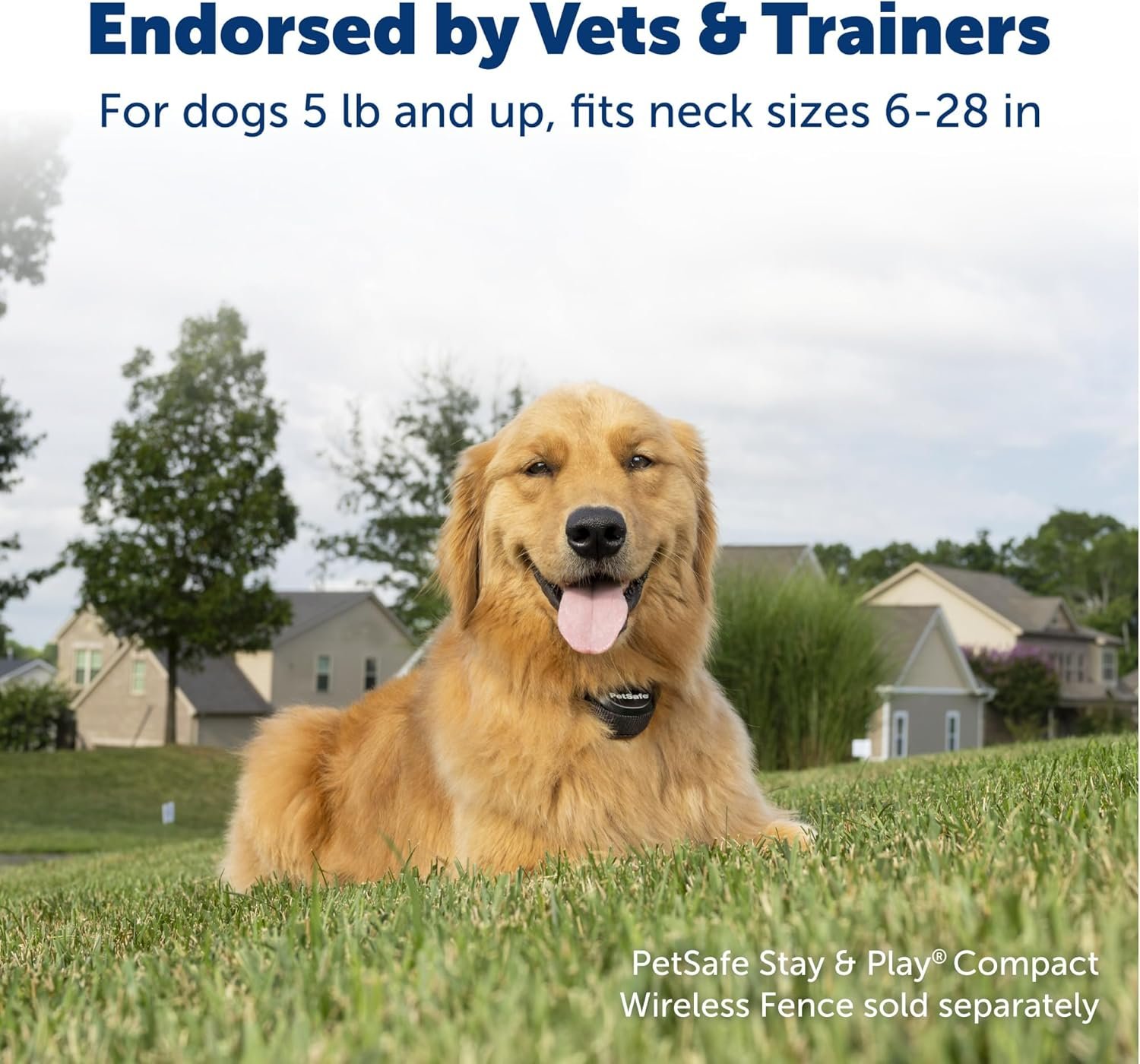 PetSafe Stay & Play Pet Fence Wireless, Dog Fence Collar Rechargeable Receiver Collar, Waterproof Design, Compatible with All PetSafe Wireless Fences, Invisible Wireless System (Black) - Image 2