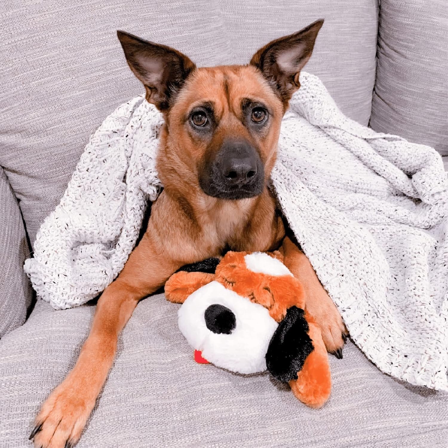 Original Snuggle Puppy Heartbeat Puppy Toy - Heartbeat Puppy for Dogs - Pet Anxiety Relief and Calming Aid - Comfort Dog Toy - Behavioral Training and Sleep Aid Cuddle buddy - Crate Training Essential - Image 9