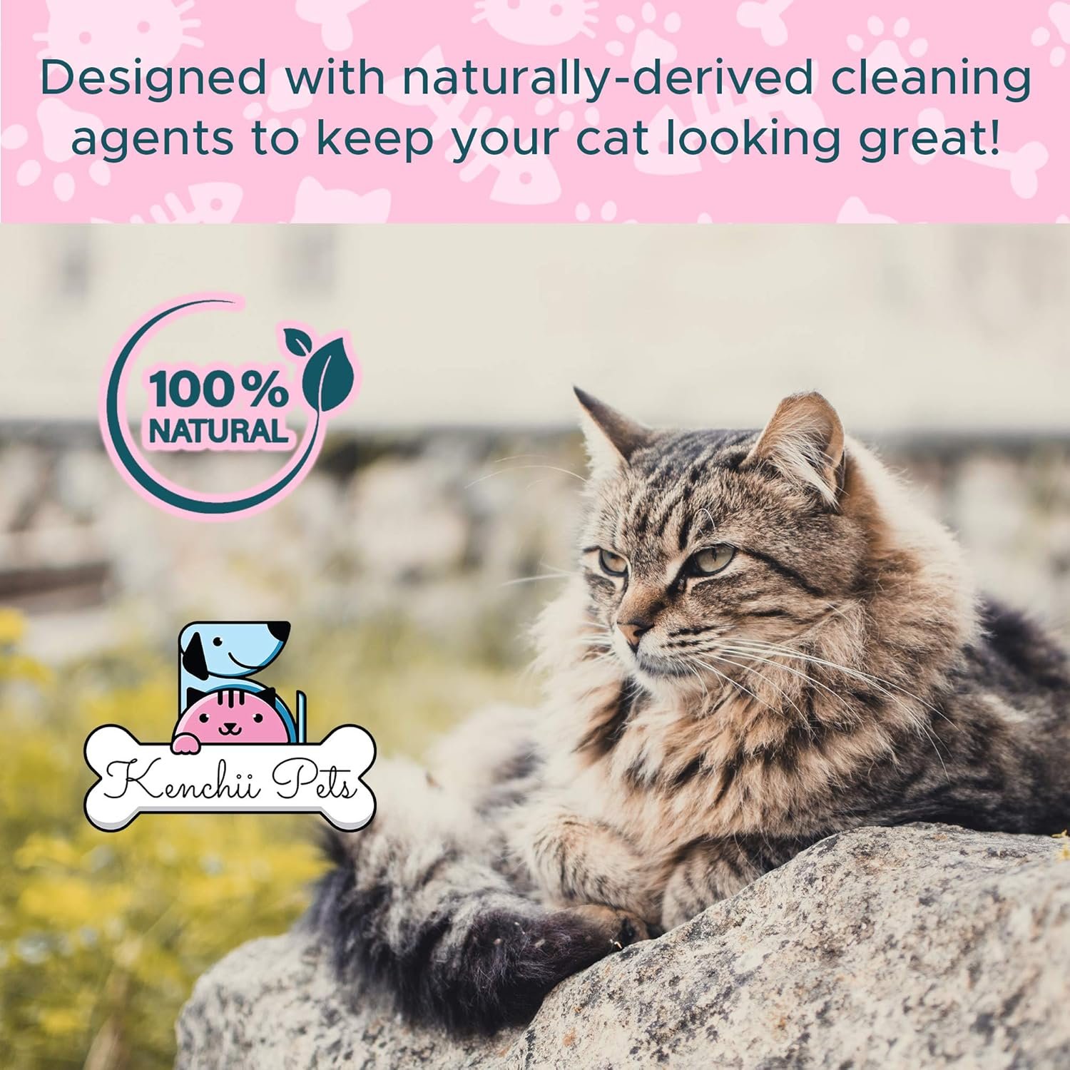 Professional Pet Grooming Spray for Kittens and Cats | All-Natural Scented Moisturizing Cat Detangler Spray | Kitten Conditioner Coat Shine Spray | Cat Grooming Supplies - Image 3