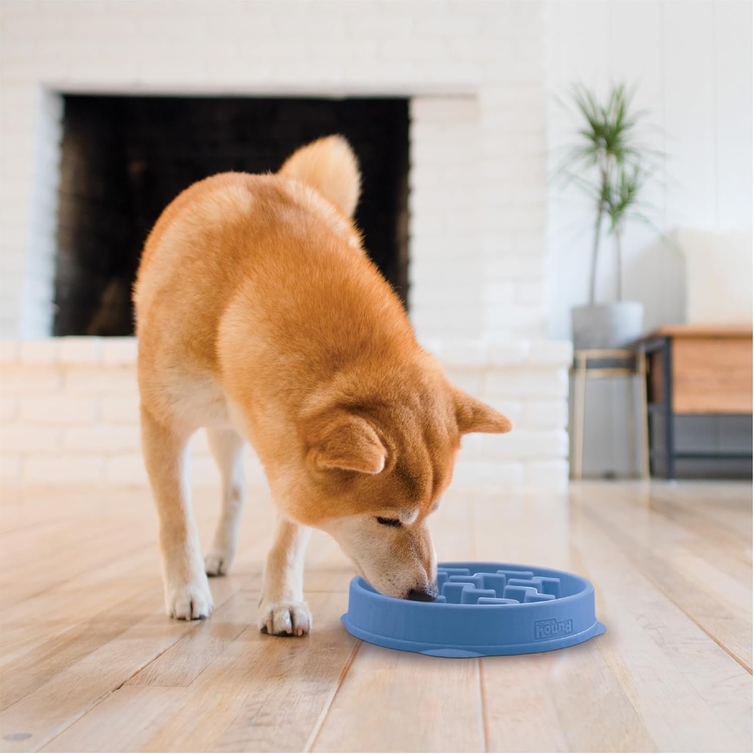 Outward Hound Medium Slow Feeder Bowl, Puzzle Maze for Fast Eaters, Small to Medium Dogs, Helps Prevent Bloat & Aid Digestion, Holds 2 Cups Wet or Dry Food, Non-Slip, Made Without BPA, Blue - Image 6