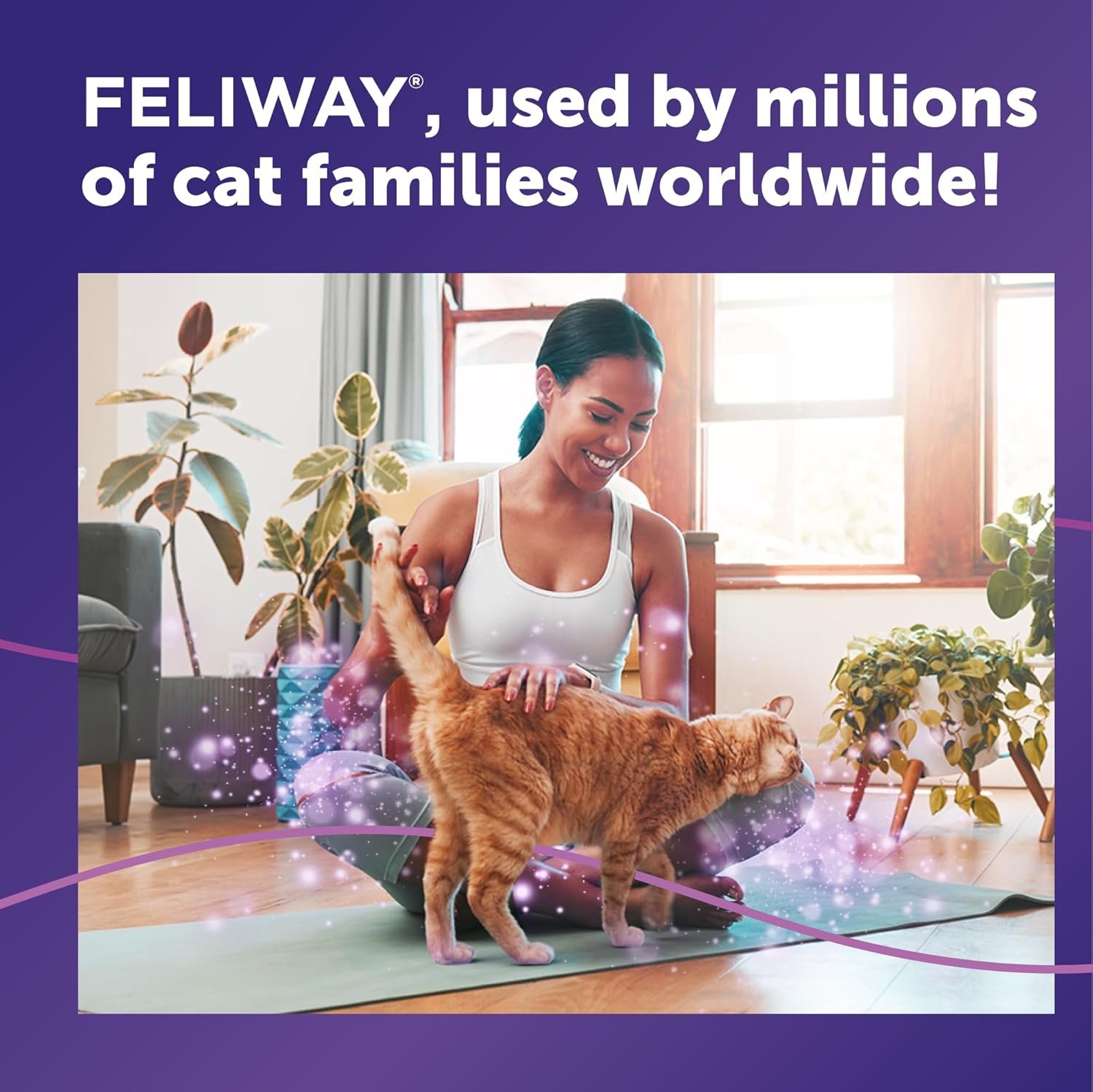 FELIWAY® Classic 6 x 30 Day Cat Calming Refills for Pheromone Diffuser, 6 x 48ml Value Pack - Helps Reduce Common Signs of Stress in Cats & Kittens, Enhanced Calming - Image 6