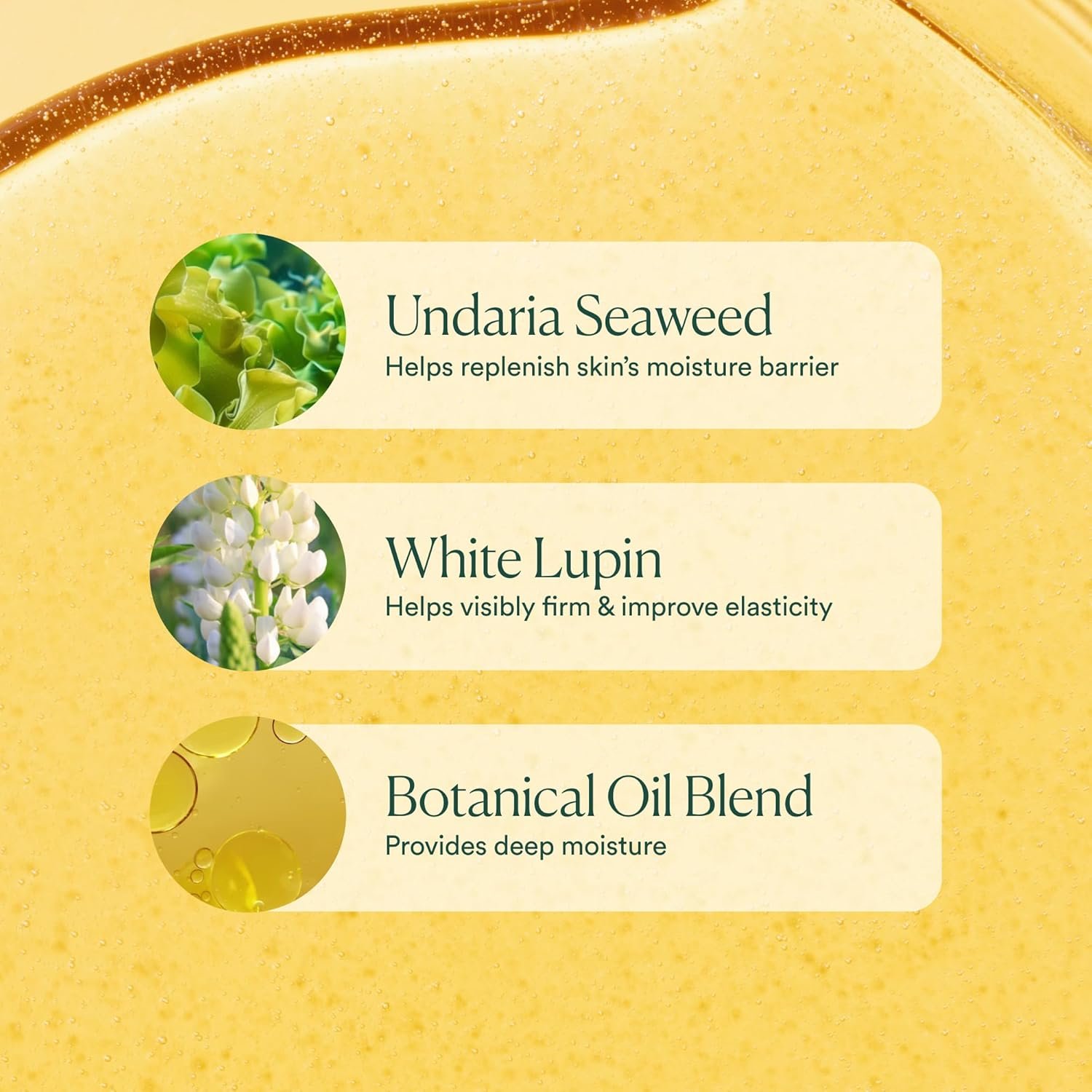 OSEA Undaria Algae Body Oil 5 oz – Visibly Firming, Deeply Moisturizing, Instantly Improve Elasticity, Clean Lightweight Non-Greasy Hydration, Vegan & Cruelty-Free Seaweed Skincare - Image 7