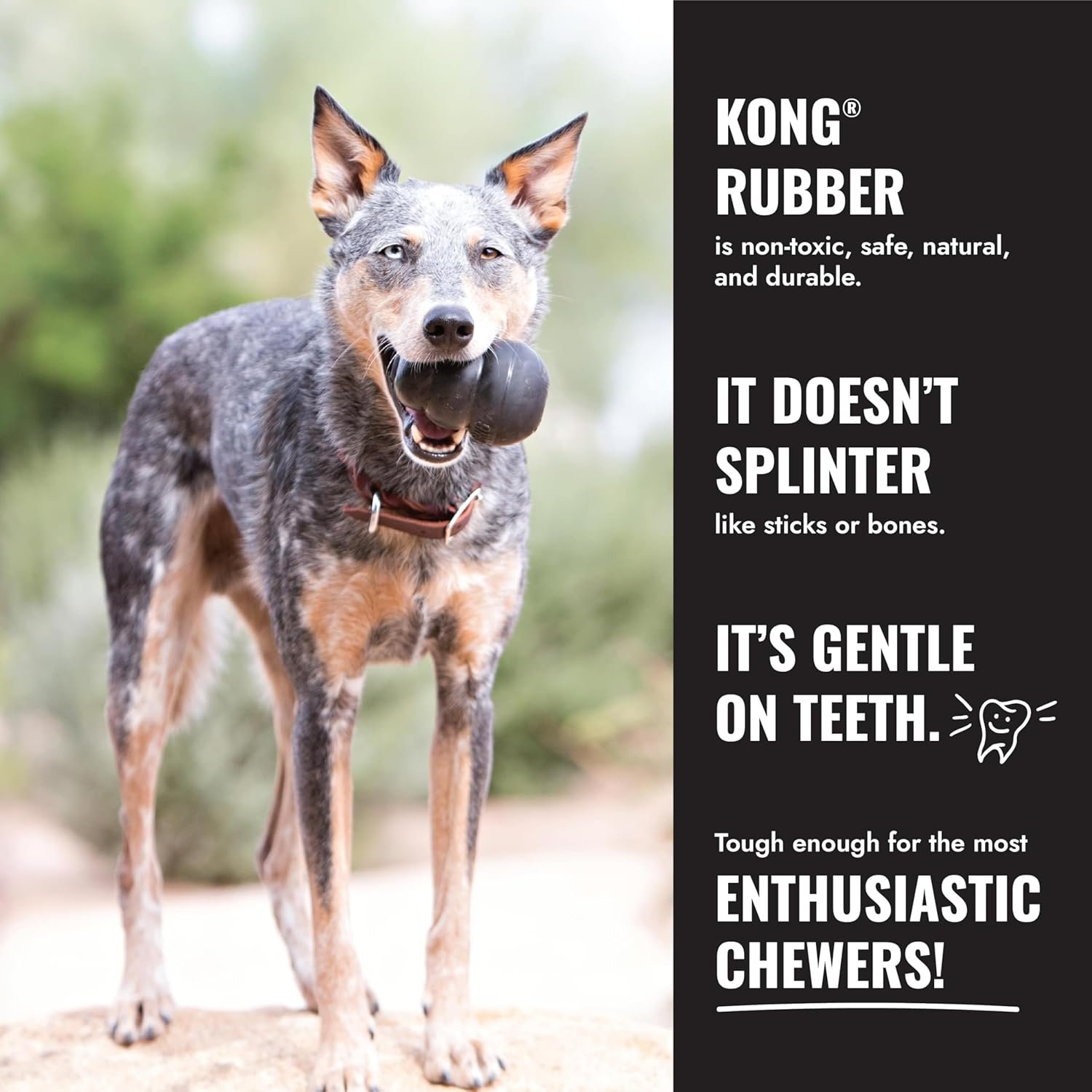 KONG - Extreme Goodie Bone Most Durable Natural Rubber Dog Bone for Power Chewers - Black - for Extra Large Dogs - Image 3