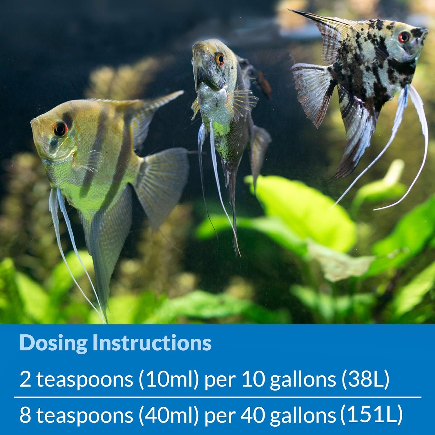 API QUICK START Freshwater and Saltwater Aquarium Nitrifying Bacteria 16-Ounce Bottle - Image 6