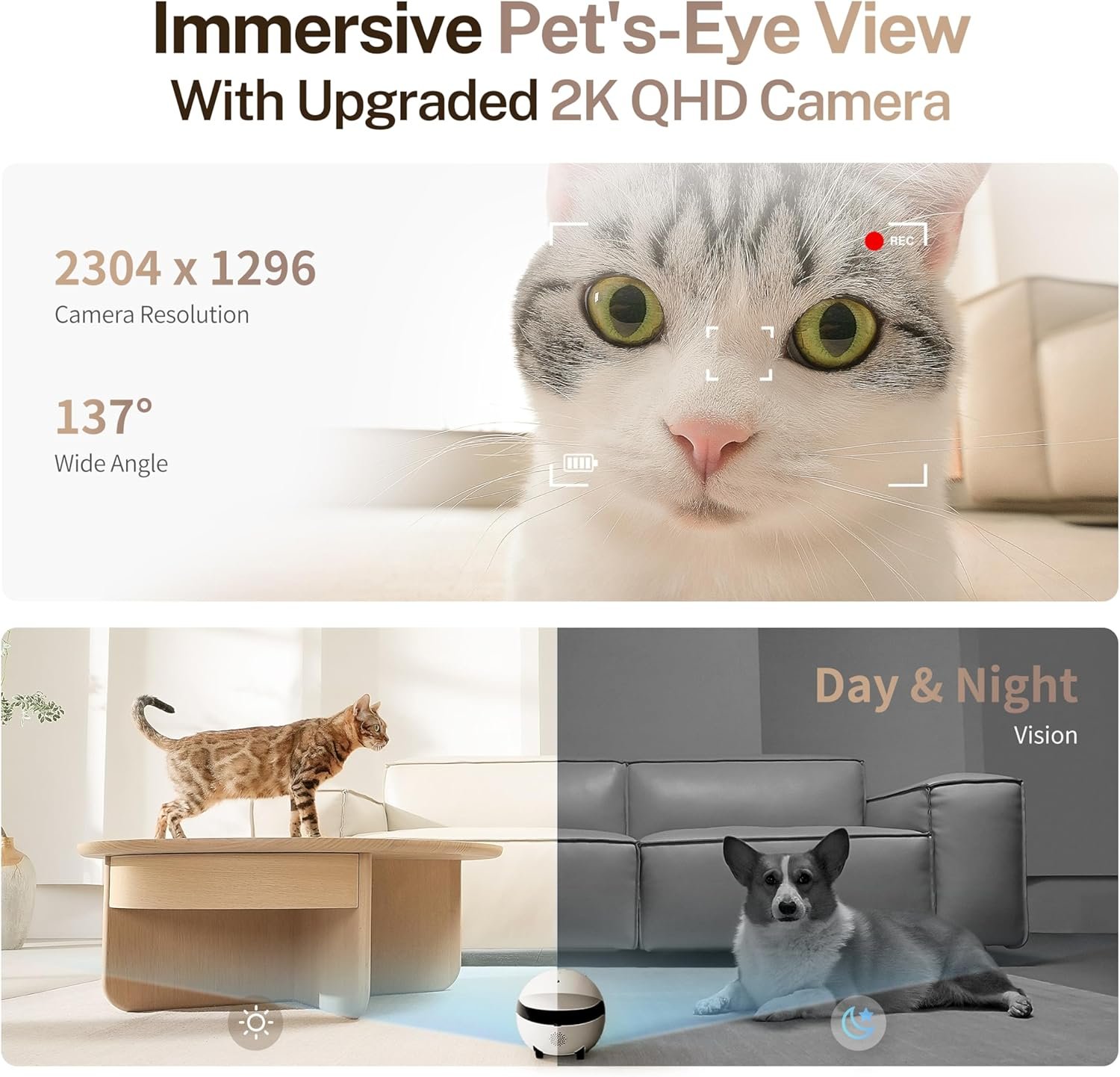 Enabot EBO ROLA Mini FamilyBot 2K Pet Camera Robot: Movable Indoor Camera Battery-Powered with Phone App, One-Touch Call, 2-Way Talk, Night Vision, Motion Detection, Video Recording - Image 4