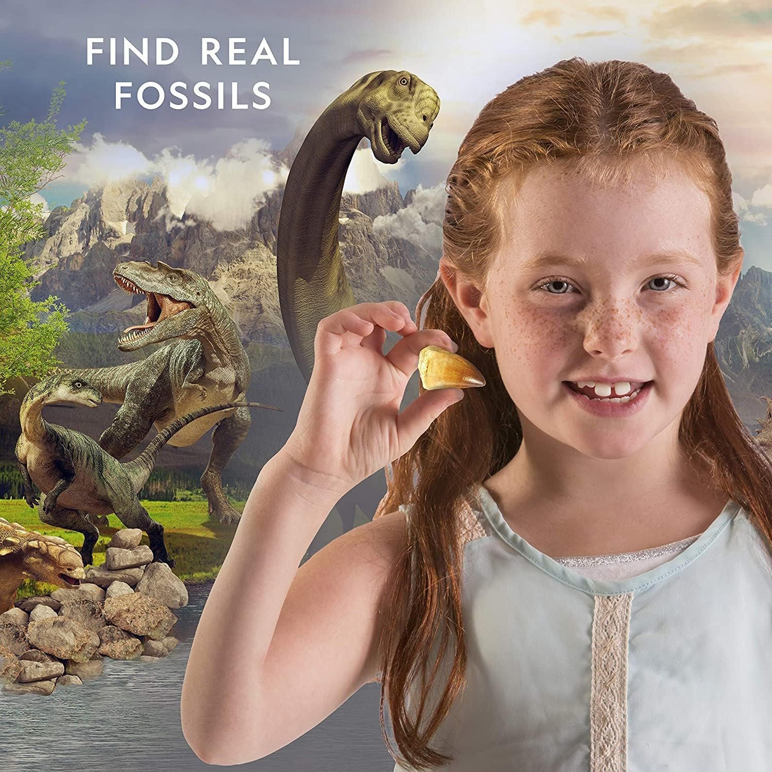 Bandai National Geographic - Excavation Kit - 3 Dinosaur Fossils to Dig Out - Educational and Science Game - STEM - JM80568M - Image 6