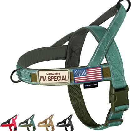 Annchwool No Pull Dog Harness with Soft Padded Handle,Reflective Strip Escape Proof and Quick Fit to Adjust Dog Harness,Easy for Training Walking for Small & Medium and Large Dogs(Green,M)