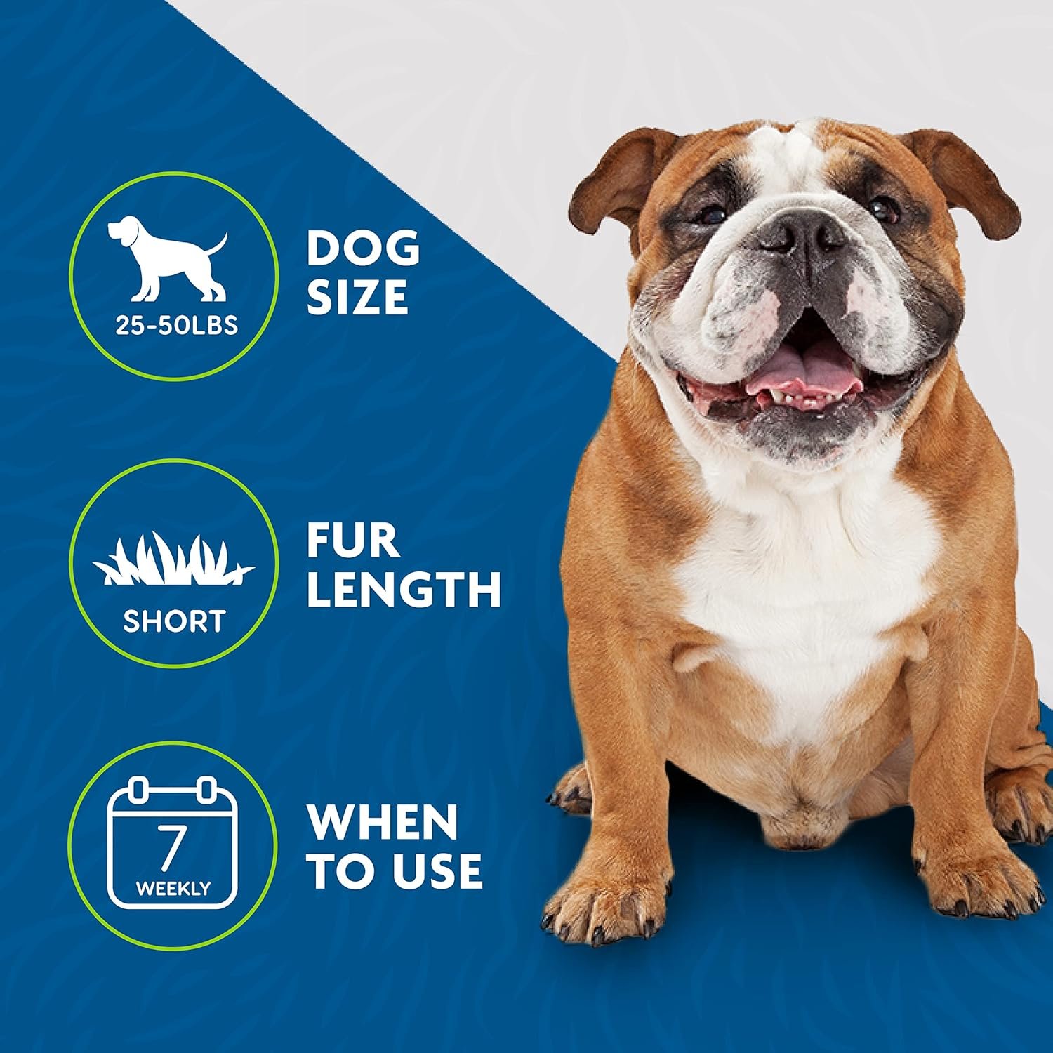 FURminator Medium Dog Undercoat deShedding Tool, Short Hair, Reduces Loose Hair from Shedding - Image 6