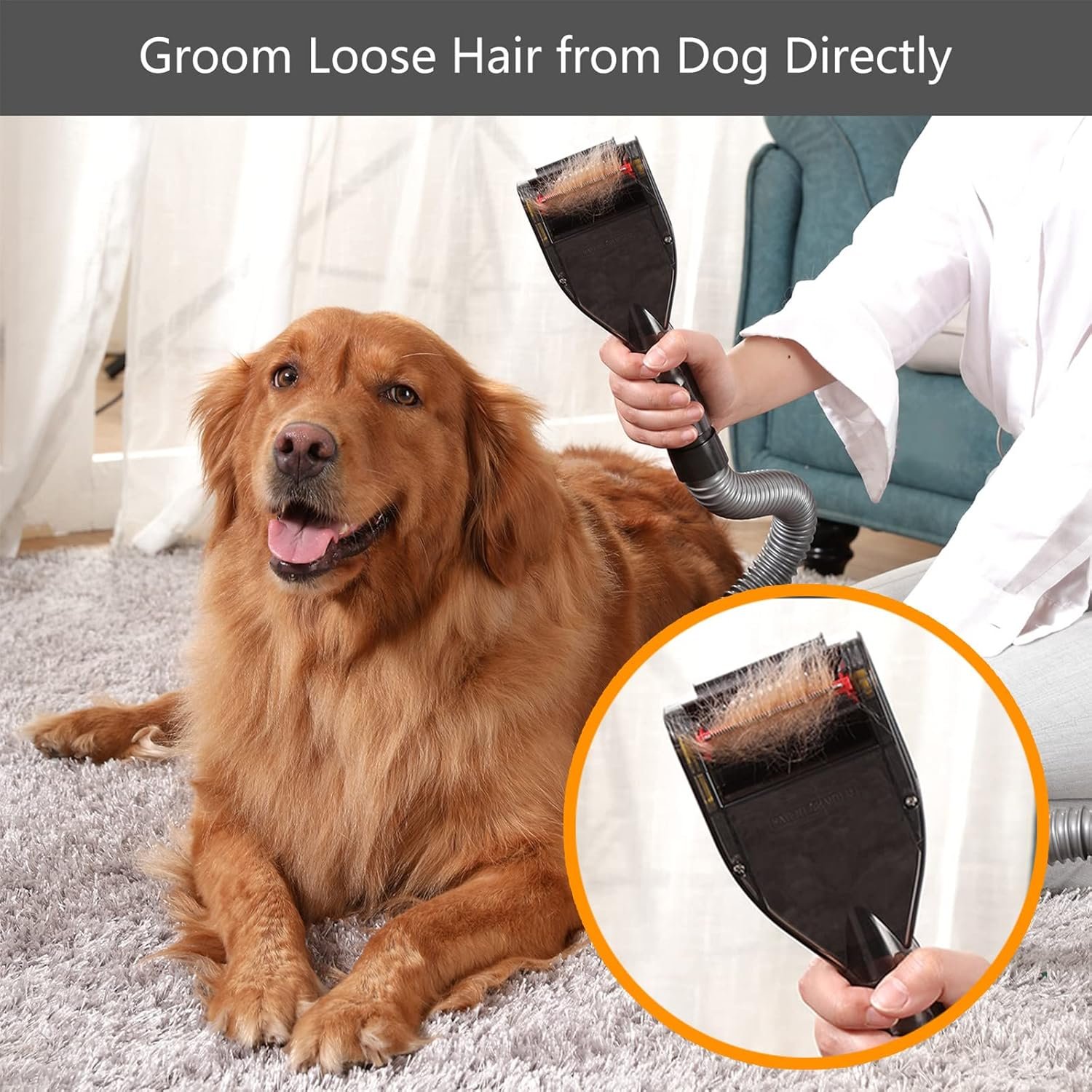 Brush Hair Deshedding Tool for Dogs&Cats Professional Shedding Fur Remover Comb as Vacuum Cleaner Attachment Kit for Dyson V15 V12 V11 V10 V8 V7 V6 - Image 2