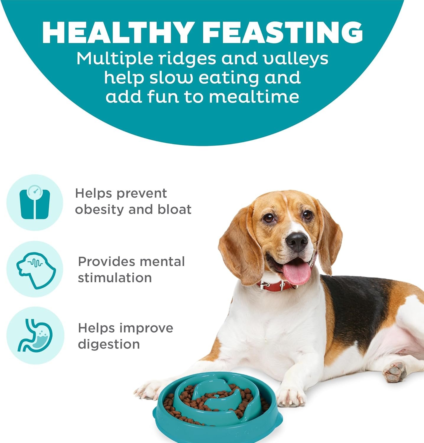 Outward Hound Medium Slow Feeder Bowl, Puzzle Maze for Fast Eaters, Small to Medium Dogs, Helps Prevent Bloat & Aid Digestion, Holds 2 Cups Wet or Dry Food, Non-Slip, Made Without BPA, Turquoise - Image 2