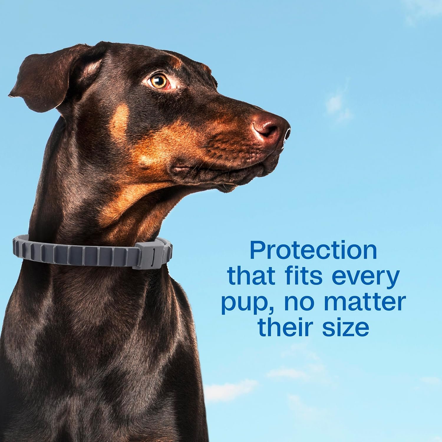ADAMS Flea & Tick Collar for Dogs & Puppies, 2 Pack, 12 Month Protection, Adjustable One Size, Kills Fleas, Ticks & Repels Mosquitoes, Excluding California - Image 4