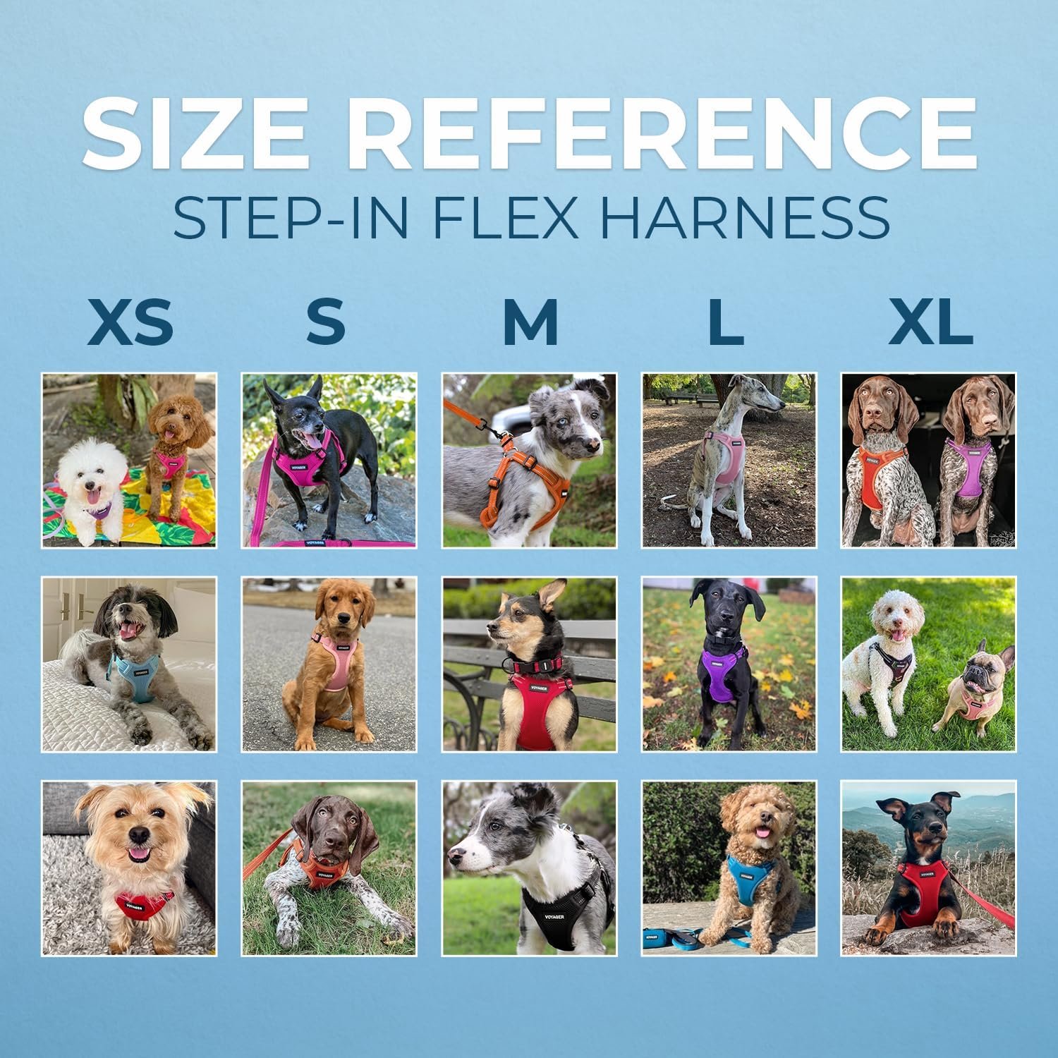 Best Pet Supplies Voyager Mesh Dog Breathable Harness Reflective Stitching, All Weather Adjustable for Walking Training, or Running - Heavy Duty & Durable, Harness (Turquoise), M - Image 6