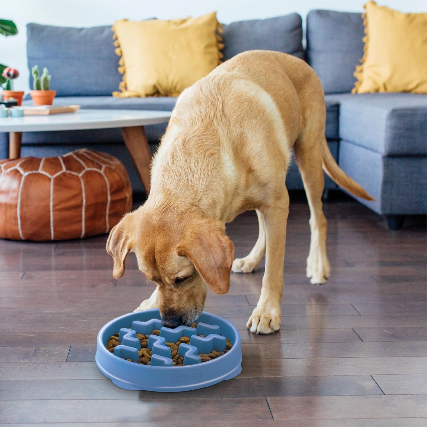 Outward Hound Large Slow Feeder Bowl, Puzzle Maze for Fast Eaters, Medium to Large Dogs, Helps Prevent Bloat & Aid Digestion, Holds 4 Cups Wet or Dry Food, Non-Slip, Made Without BPA, Blue - Image 6