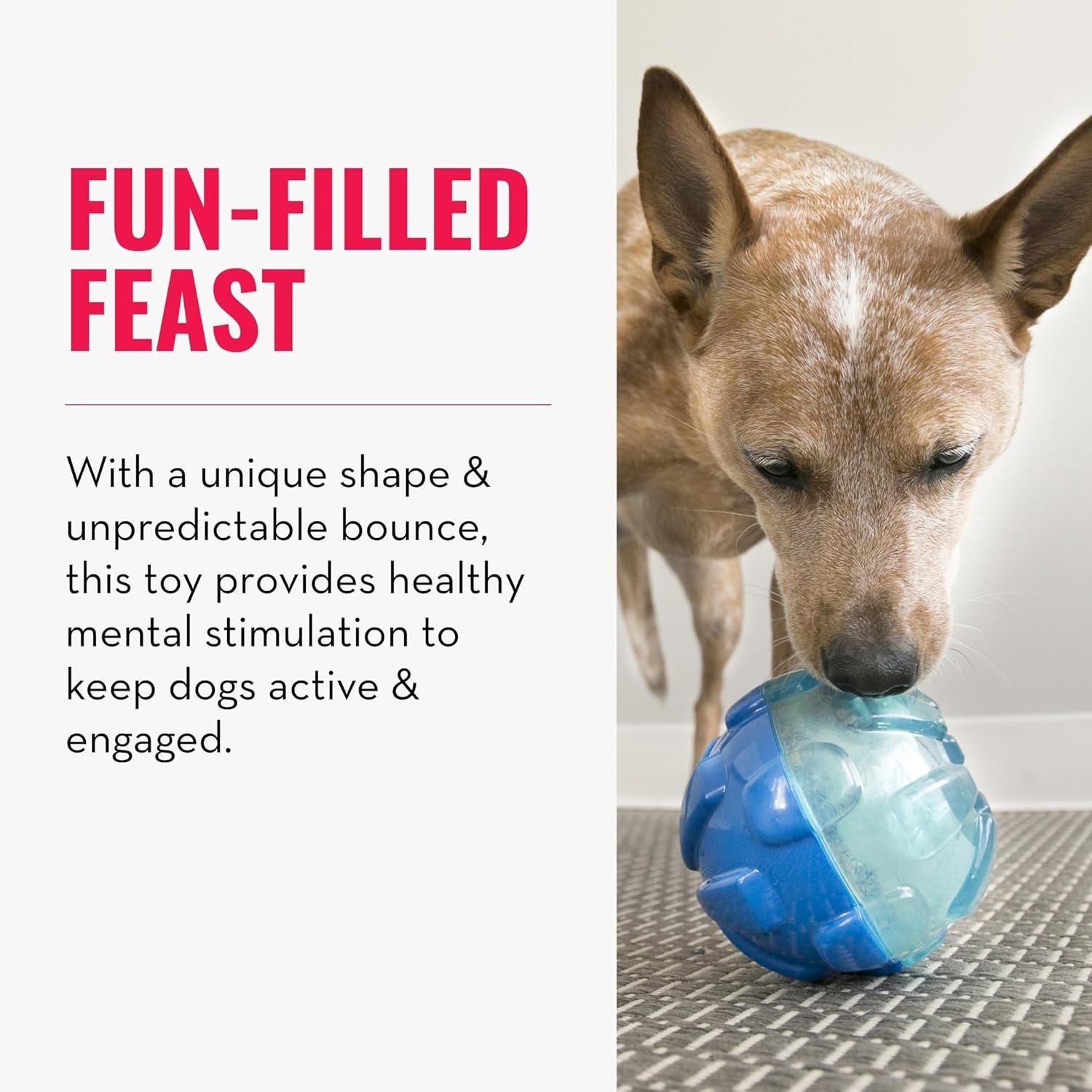 KONG - Rewards Ball - Ultra Durable Interactive Treat Dispensing Dog Toy - for Large Dogs - Image 3