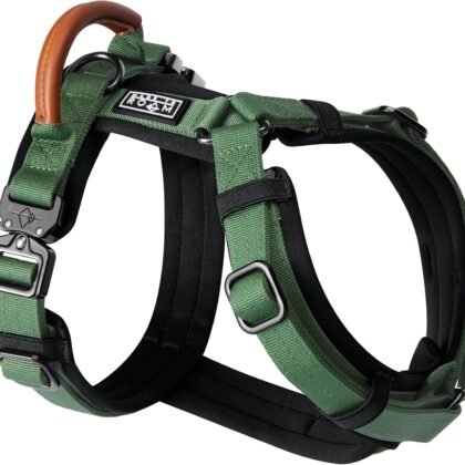 MADE TO ROAM Premium Explorer Harness - Y-Shaped Dog Harness with Adjustable Durable Nylon, Soft Padding, Metal Buckles and Leather Handle for Small, Medium, Large Dogs (Oregon Haze, Size 1)