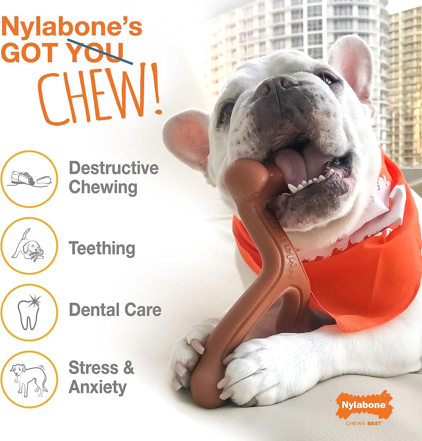 Nylabone Original Bone Power Chew Toy for Dogs, Durable Dog Toys for Aggressive Chewers, Flavor Frenzy Funnel Cake & Shish Kabob Flavor, Large - Up to 50 lbs, 2 Pack - Image 3