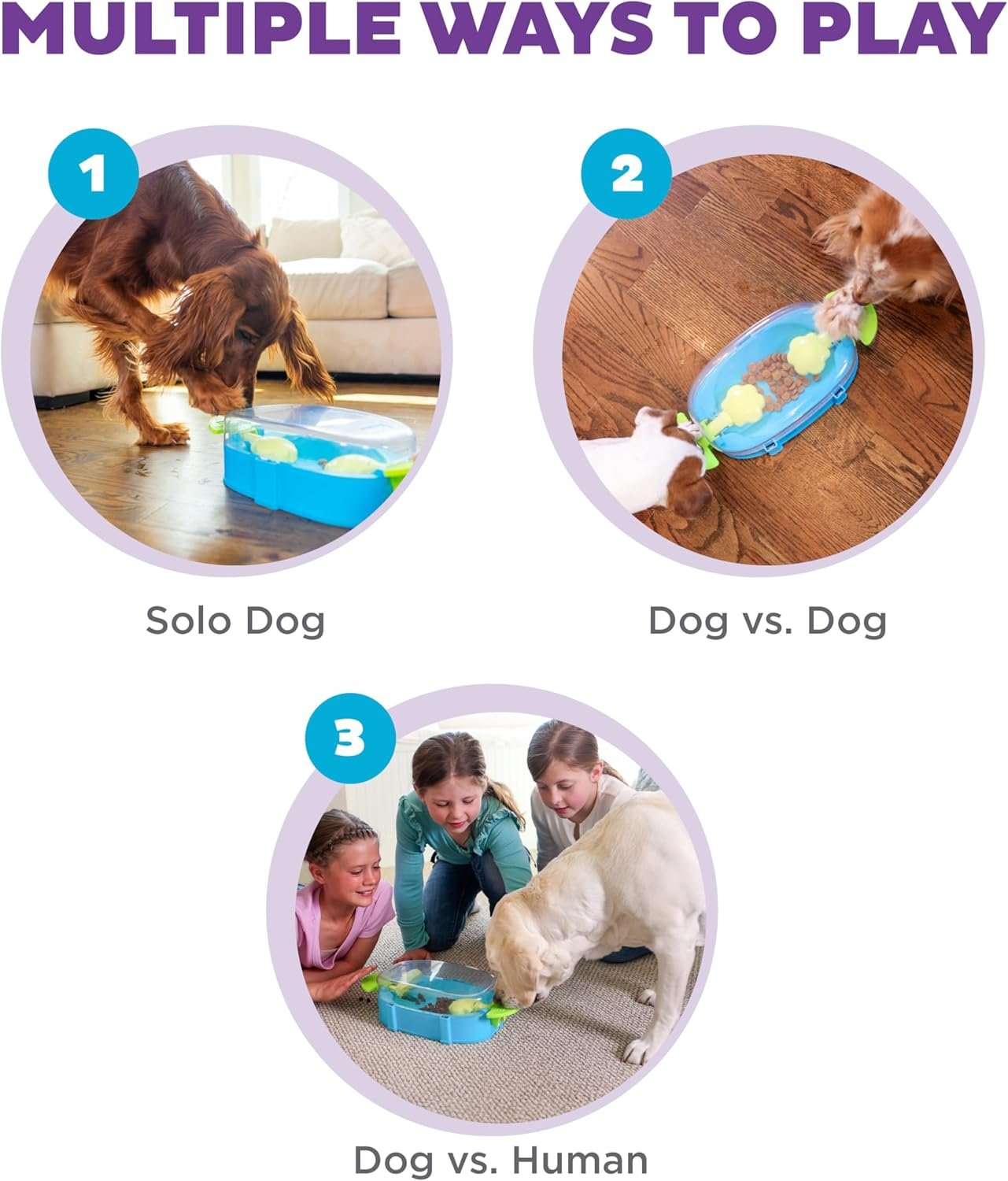 Outward Hound Nina Ottosson Paw N' Play Interactive Dog Treat Puzzle, Level 2 Intermediate Dog Enrichment Dog Toy, Blue, Small - Image 3