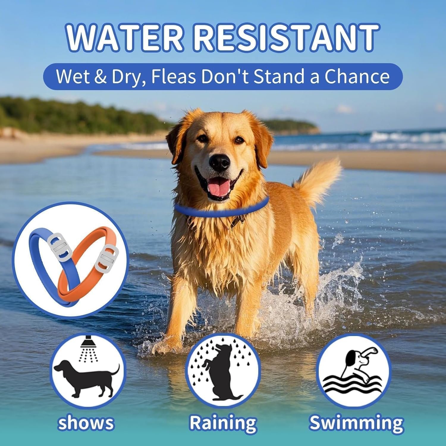 Dog Flea and Tick Collar 4 Pack, Waterproof Adjustable Collar for Dogs and Puppies, 32-Month Prevention, Blue & Orange - Image 5