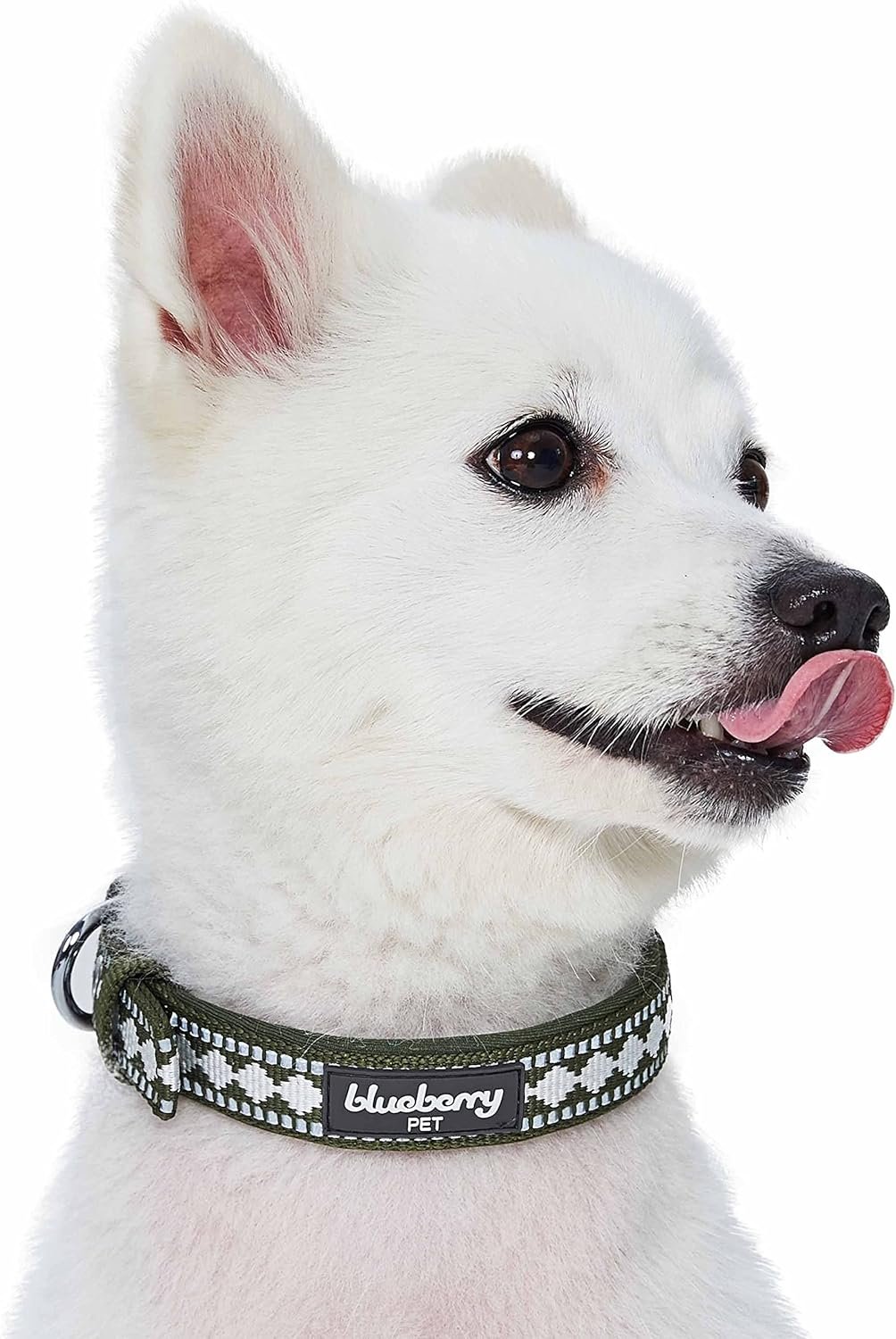 Blueberry Pet Reflective Jacquard Dog Collar with Neoprene Padding & Metal Buckle | Soft & Adjustable Safety Collar - Olive, Neck 13-16.5", for Medium Breed - Image 6