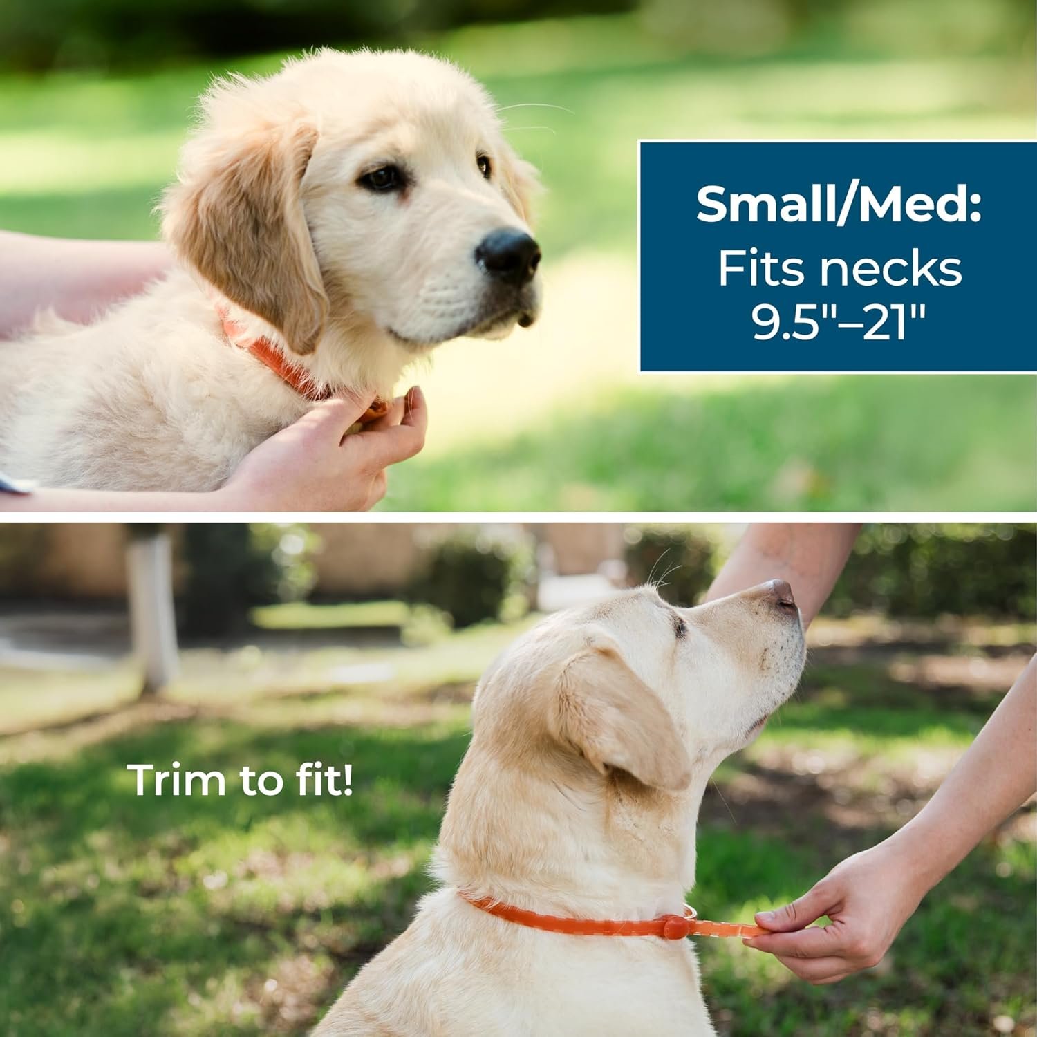 Wondercide Dog Collar - Flea, Tick, and Mosquito Repellent for Dogs - with Natural Essential Oils - Up to 4 Months Protection - Small Medium - Image 4