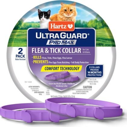 Hartz UltraGuard ProMax Flea & Tick Collar for Cats I 14 Months Protection I Soft & Comfortable | Flea & Tick Prevention I 2 Pack