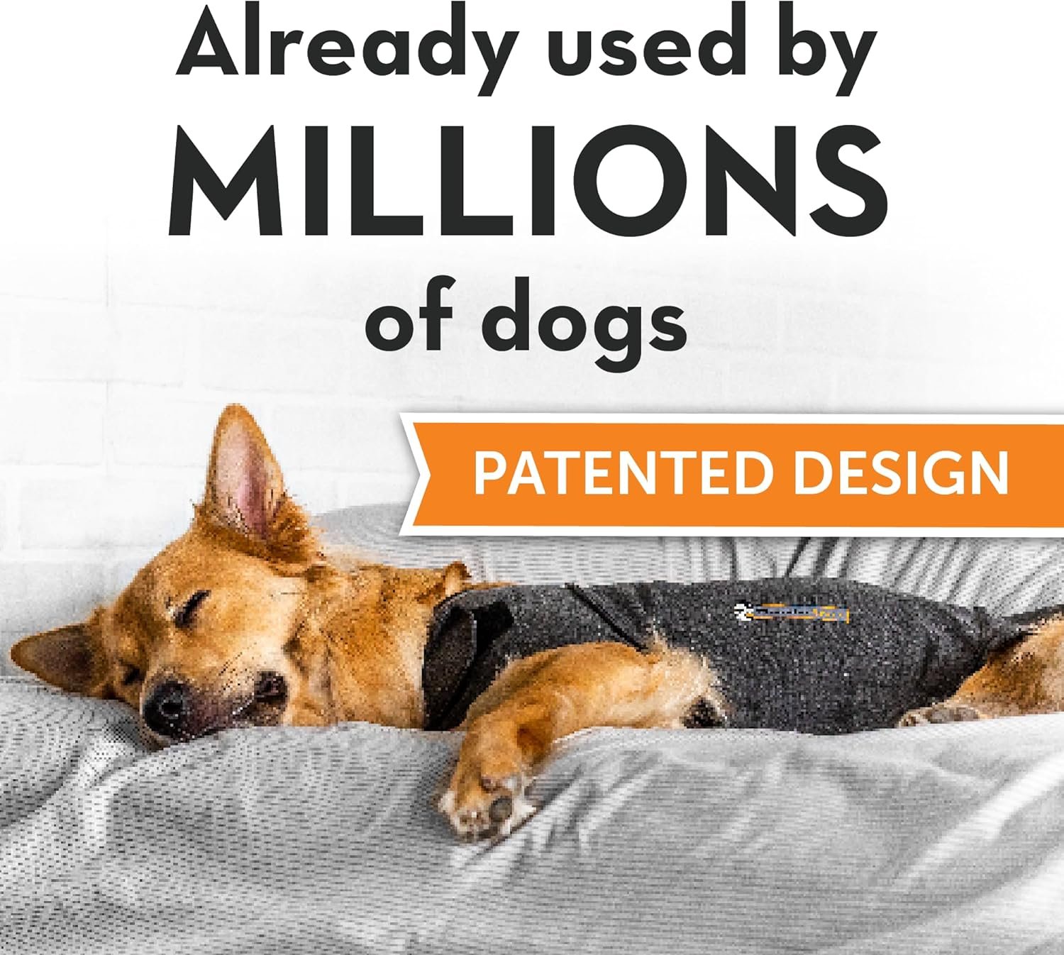 ThunderShirt for Dogs, Small, Heather Gray Classic - Dog Anxiety Relief Calming Vest - Image 2