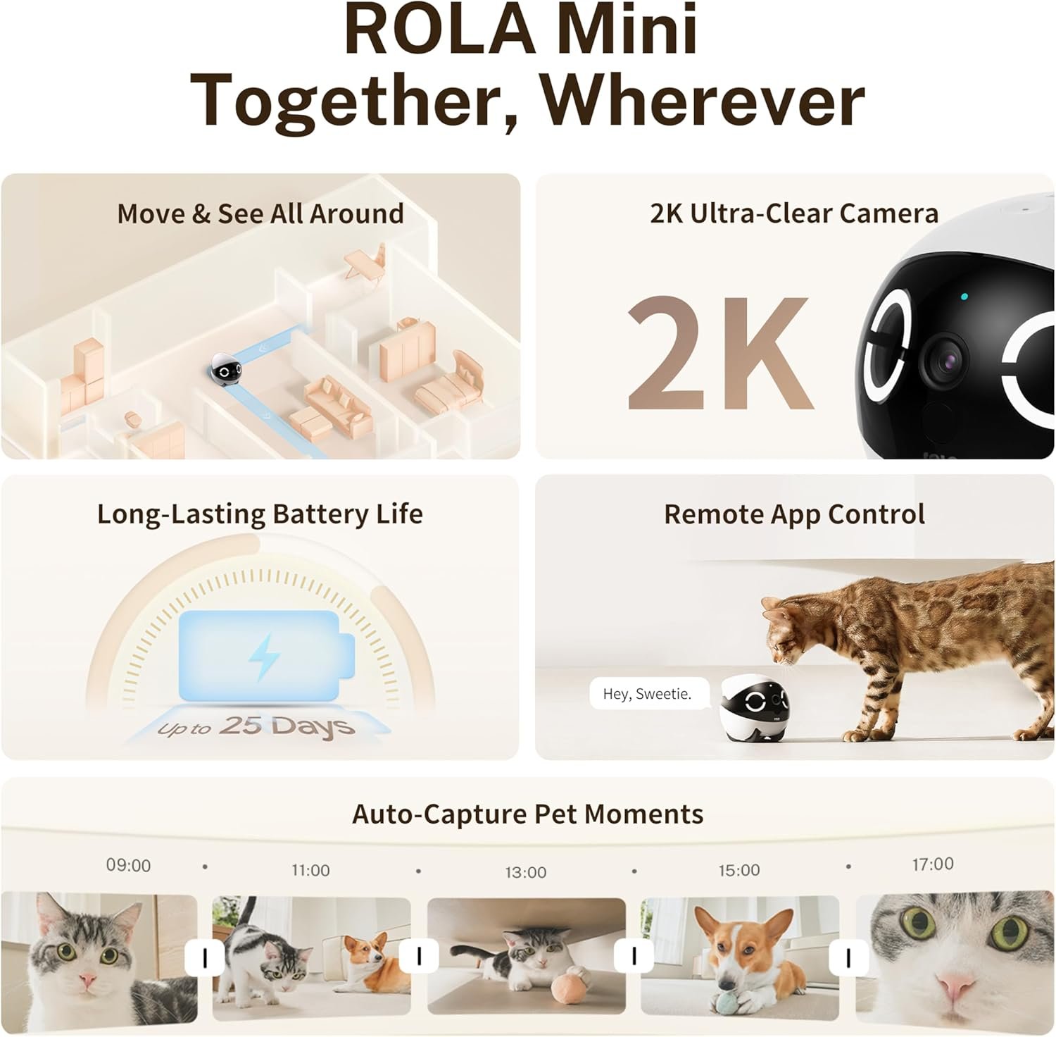 Enabot EBO ROLA Mini FamilyBot 2K Pet Camera Robot: Movable Indoor Camera Battery-Powered with Phone App, One-Touch Call, 2-Way Talk, Night Vision, Motion Detection, Video Recording - Image 2