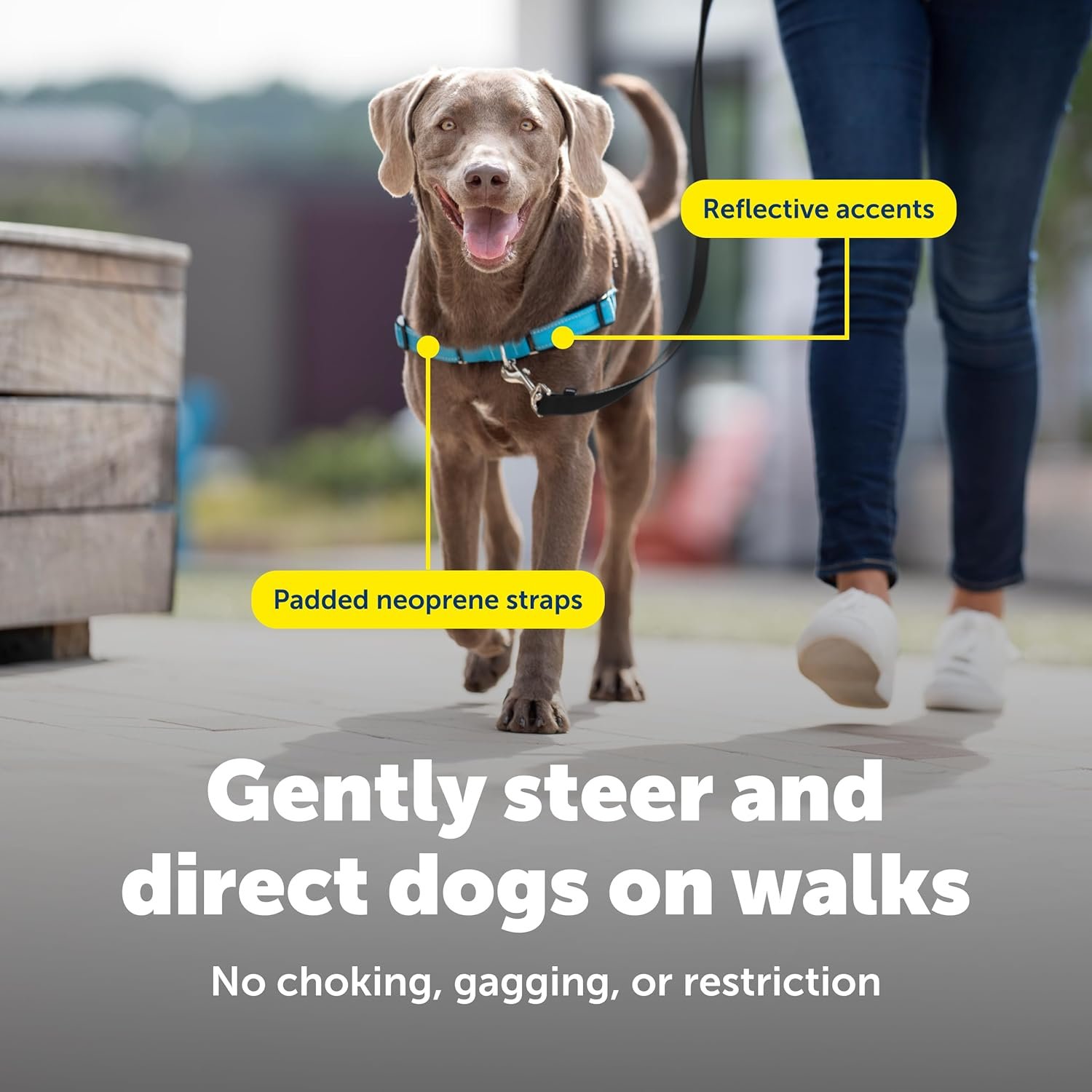 PetSafe Deluxe Easy Walk Harness - Trainer-Trusted Dog Chest Harness with Breathable Martingale Loop Design - Helps Stop Pulling with No Choking & Gagging - Large - Ocean - Image 5