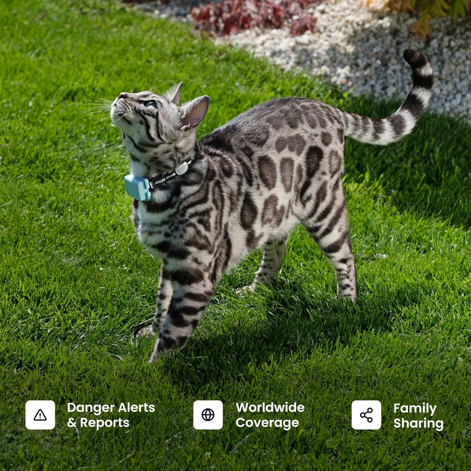 Tractive Smart Cat GPS Tracker | Real-Time Location & Wellness Monitoring for Cats 6.5 lbs+ | Territory & Location History | Up to 5-Day Battery | Breakaway Collar Included (Dark Blue) - Image 8