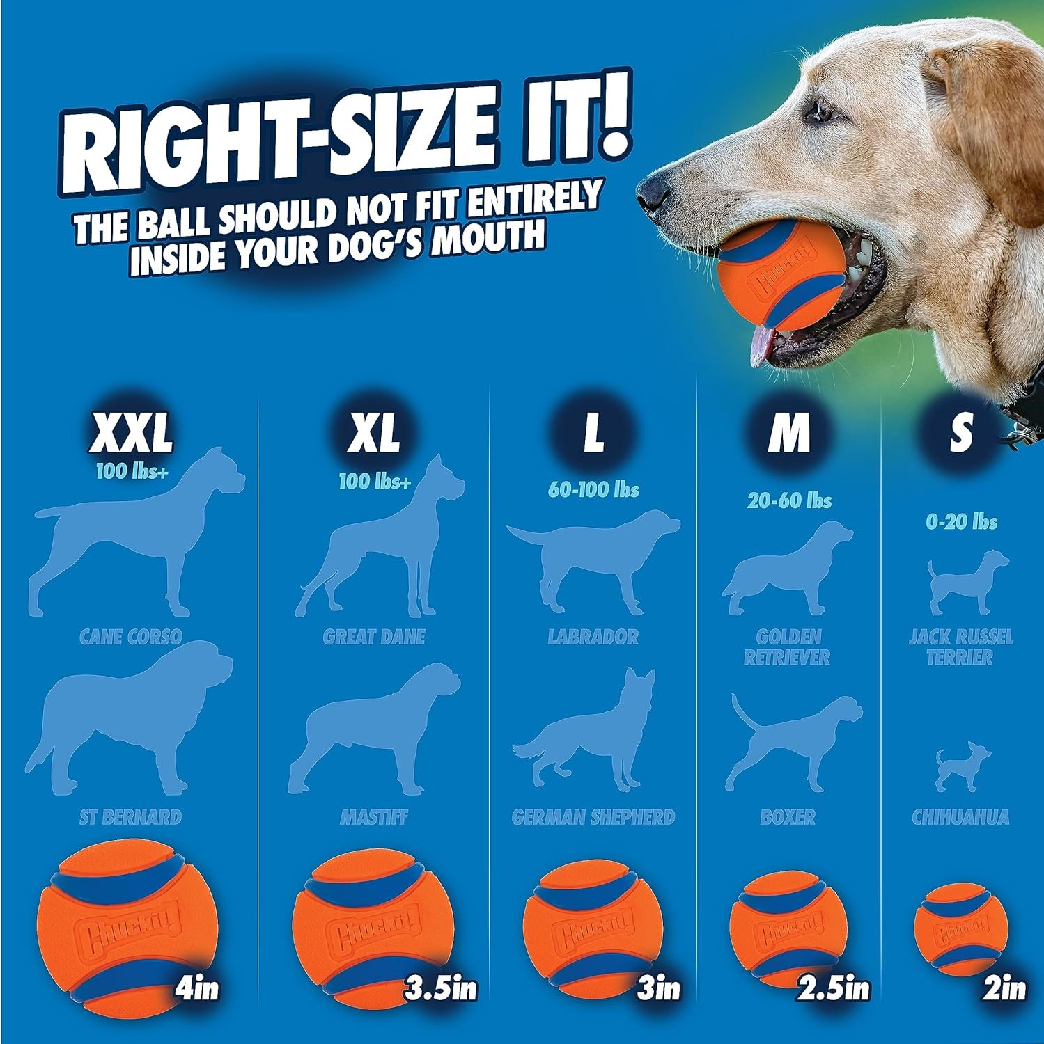 Chuckit! Dog Ball Launcher - Pro 25" with Medium (2.5"), Dog Fetch Ball Thrower, For Dogs 20-60 Pounds, Made in USA - Image 7