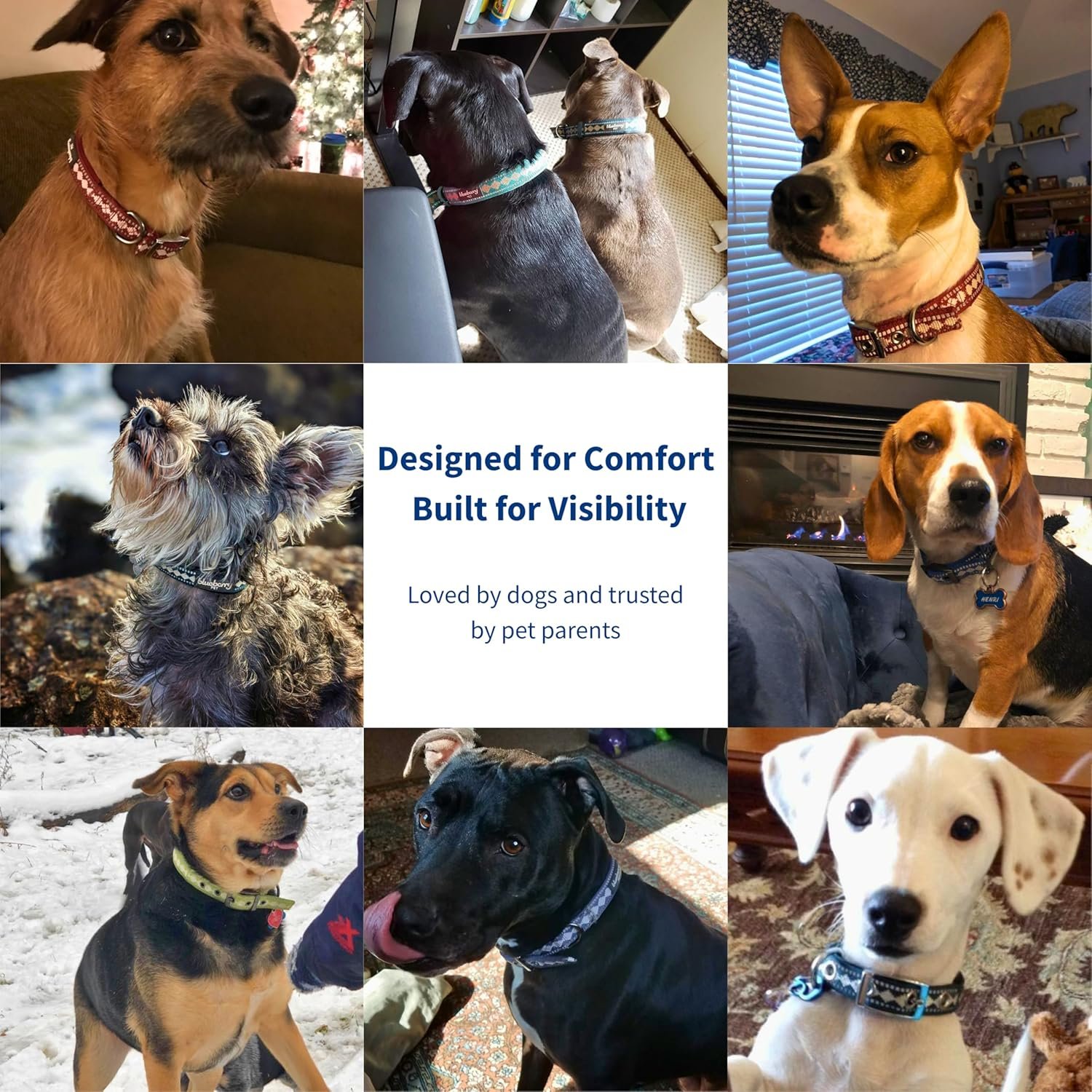 Blueberry Pet Reflective Jacquard Dog Collar with Neoprene Padding & Metal Buckle | Soft & Adjustable Safety Collar - Olive, Neck 13-16.5", for Medium Breed - Image 3