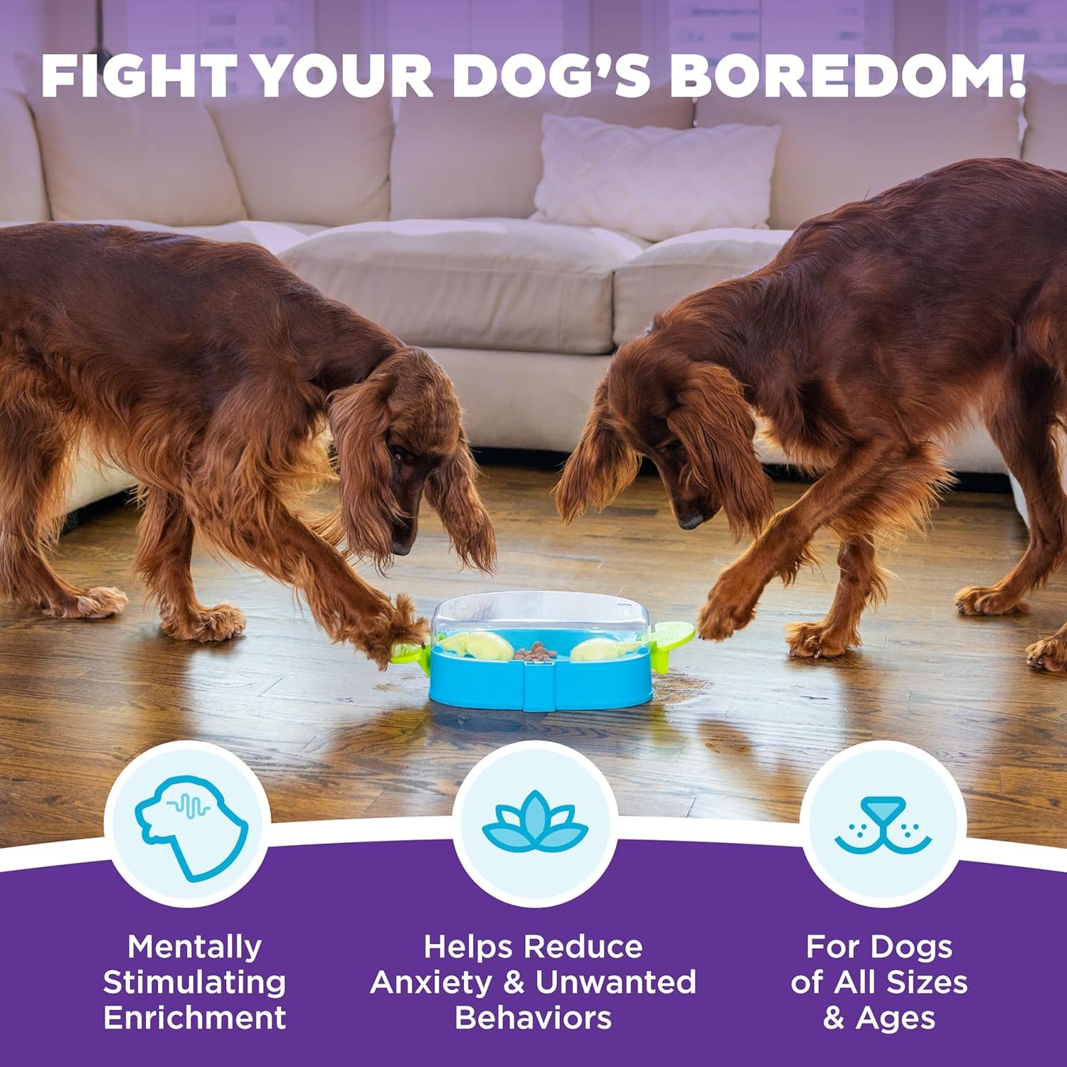 Outward Hound Nina Ottosson Paw N' Play Interactive Dog Treat Puzzle, Level 2 Intermediate Dog Enrichment Dog Toy, Blue, Small - Image 2