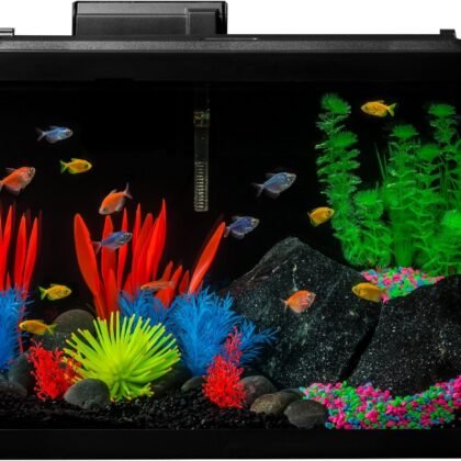 GloFish 20 Gallon Aquarium Kit with LED Lights, Decor Heater and Filter