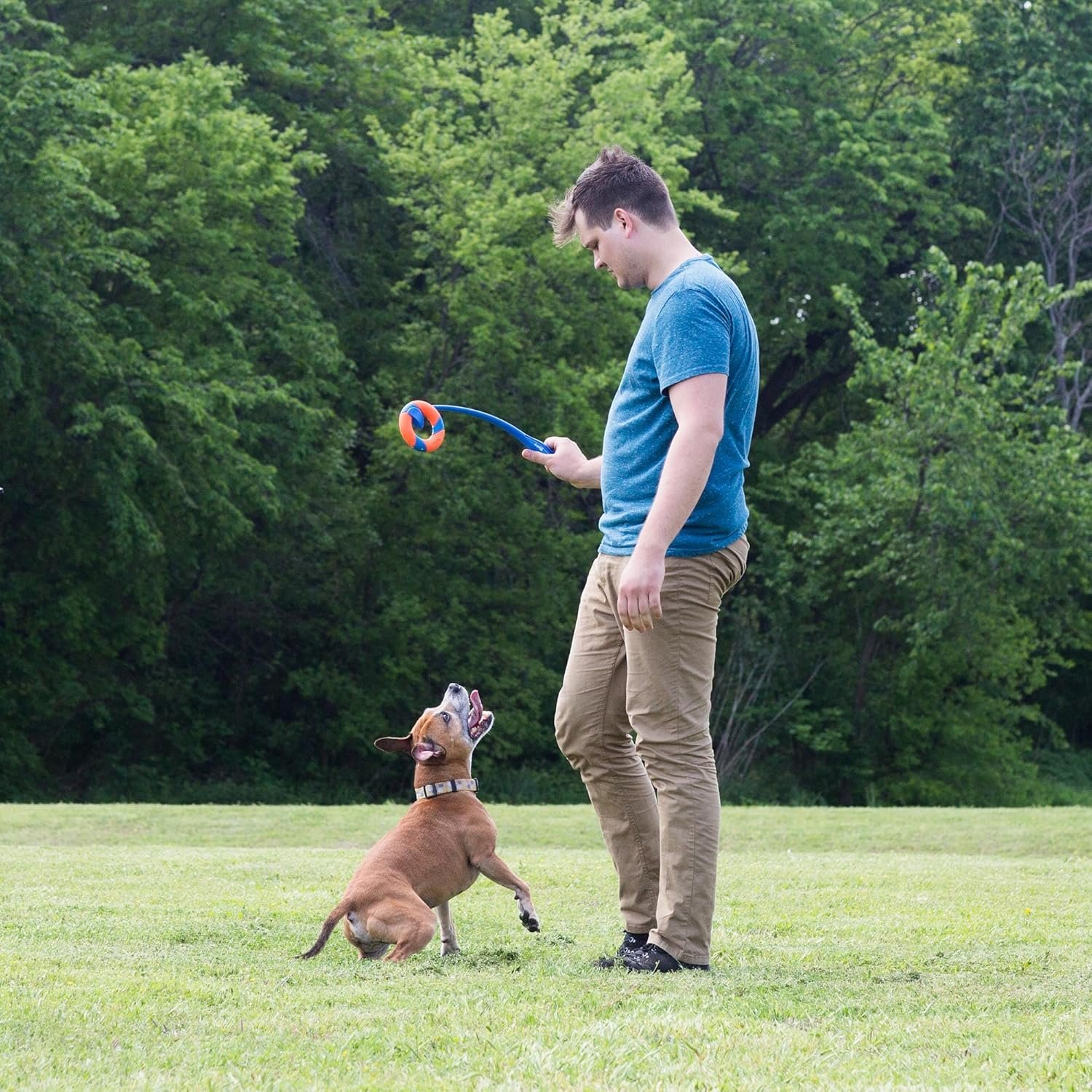 Chuckit! Ring Chaser Dog Ball Launcher Dog Toy Set, 22 Inch Length with 4.5 Inch Dog Ball Ring - Image 6