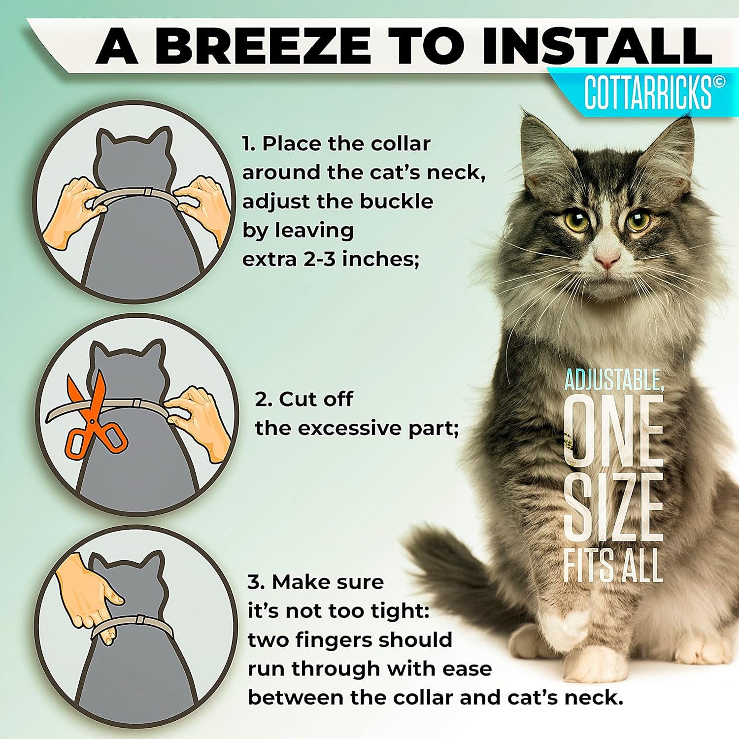 Flea and Tick Prevention for Cats - Collar - 2 Count - Adjustable - Image 6