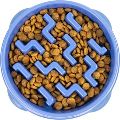Outward Hound Medium Slow Feeder Bowl, Puzzle Maze for Fast Eaters, Small to Medium Dogs, Helps Prevent Bloat & Aid Digestion, Holds 2 Cups Wet or Dry Food, Non-Slip, Made Without BPA, Blue