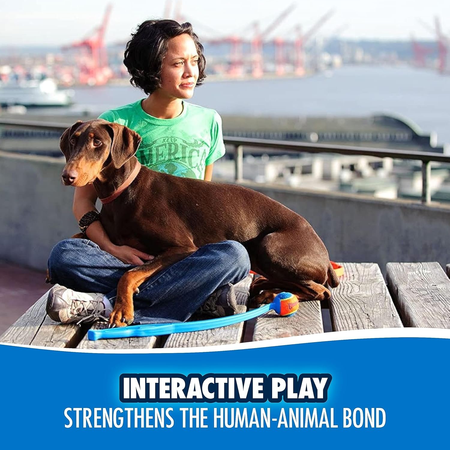 Chuckit! Dog Ball Launcher - Pro 25" with Medium (2.5"), Dog Fetch Ball Thrower, For Dogs 20-60 Pounds, Made in USA - Image 8