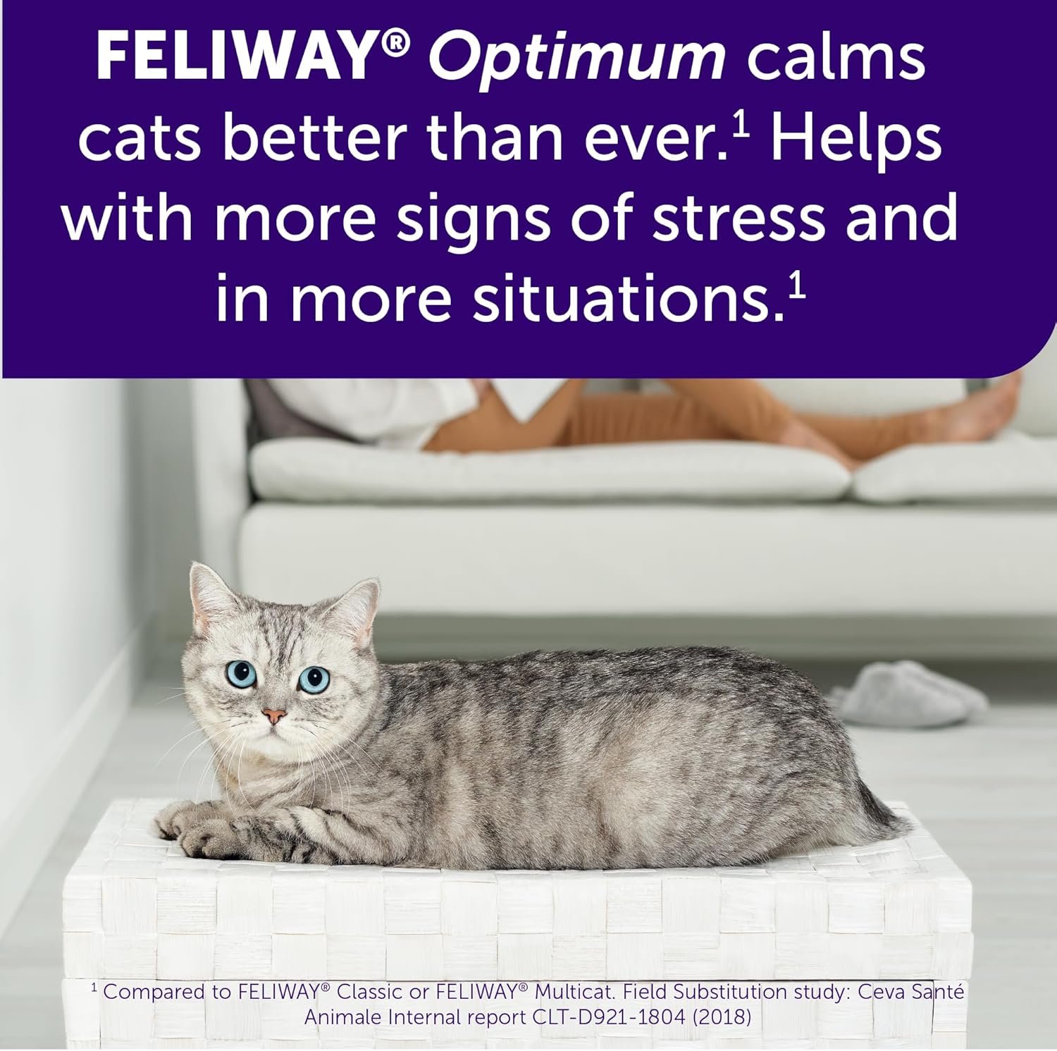 FELIWAY Optimum 6 x 30 Day Cat Calming Refills for Pheromone Diffuser, 6 x 48ml Value Pack - Helps Reduce Common Signs of Stress in Cats & Kittens, Enhanced Calming - Image 5