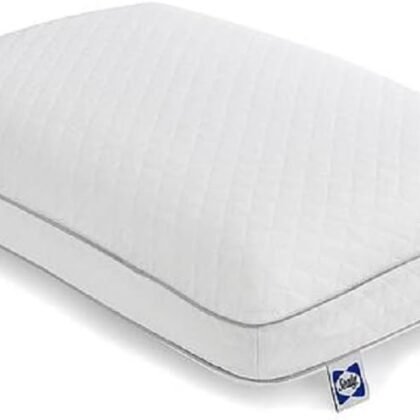 Sealy Essentials Premium Memory Foam Bed Pillow for Pressure Relief, Adaptive Design for Head and Neck Support with Washable Removable Cover, 1 Pack, White