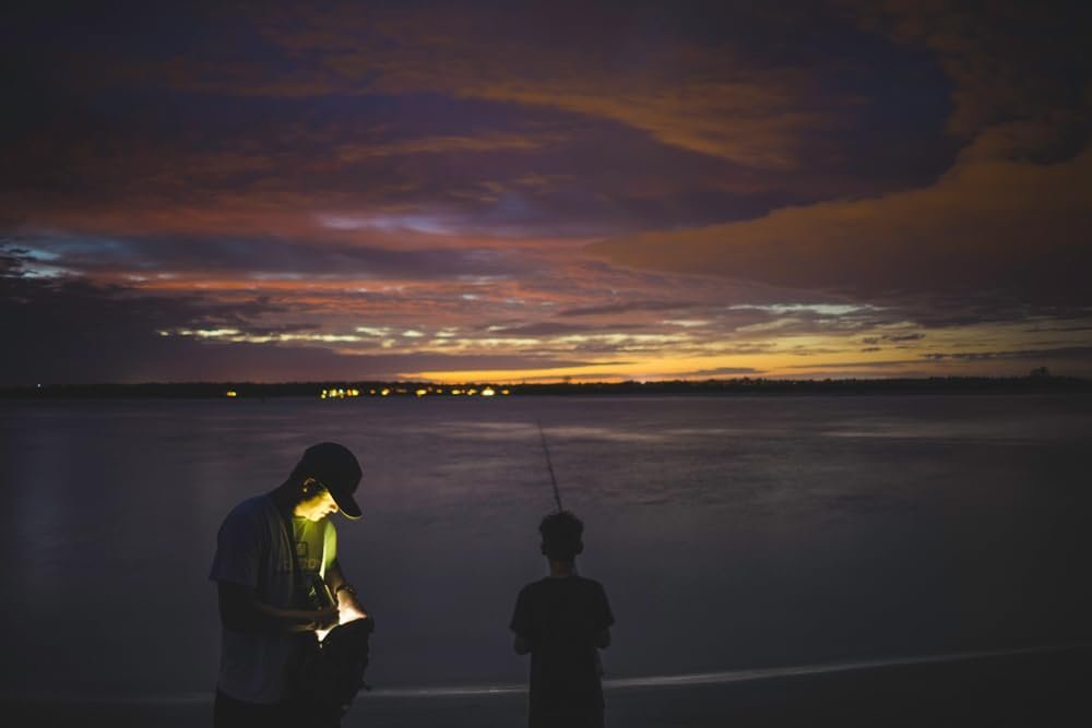 MagLite ML300L LED 3-Cell D Display Box, Black - Image 3