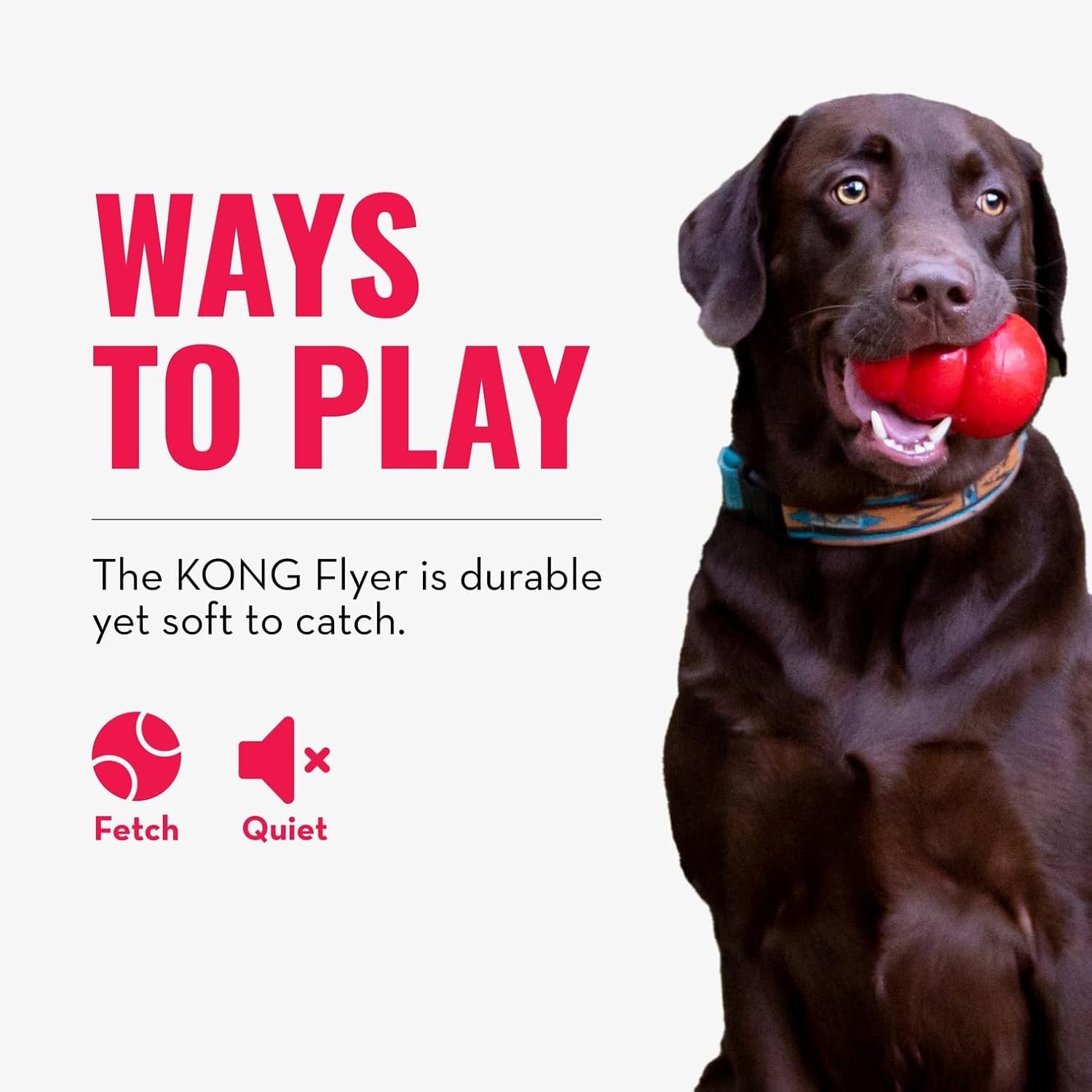 KONG Flyer - Durable Dog Toy for Outdoor Playtime - Natural Rubber Flying Disc, Dog Toy for Fetch - Safer Disc for Healthy Activity - for Small Dogs - Image 5