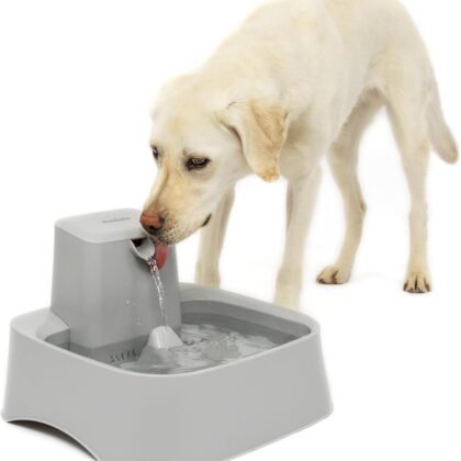 PetSafe Drinkwell Pet Fountain,Dog Water Bowl Dispenser for Cat and Dogs, Plastic, Adjustable Flow Control, Easy to Clean Design,Grey, 2 Gallon/256 oz