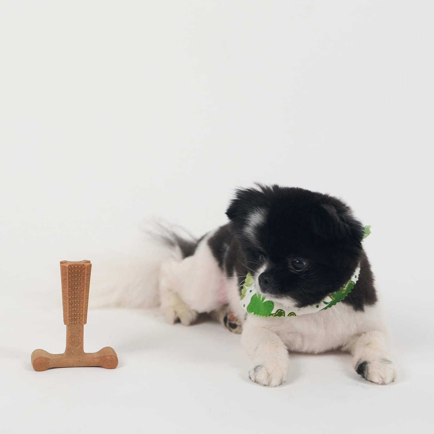 SPOT Bam-Bones Plus T-Bone, Bamboo Fiber & Nylon Dog Chew, Durable for Aggressive Chewers, Non-Splintering, for Adult Dogs & Teething Puppies Under 30lbs, 4in, Chicken Flavor - Image 12