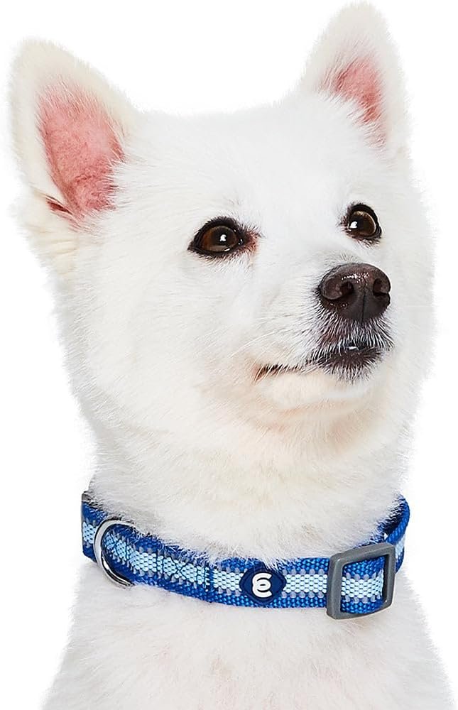 Blueberry Pet Essentials Pack of 2 Reflective Better Basics Adjustable Dog Collars, Navy Blue, Small, Neck 12"-16" - Image 4