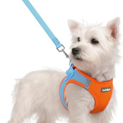 rabbitgoo Dog Harness Small Sized and Leash Set, Step in Soft Light Puppy Vest, Breathable Mesh Pet Harness, Reflective for Safe Easy Walking, Blue & Orange S