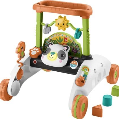 Fisher-Price Baby Push Toy 2-Sided Steady Speed Panda Walker Musical Learning Activity with 3 Blocks for Infants Ages 6+ Months (Amazon Exclusive)
