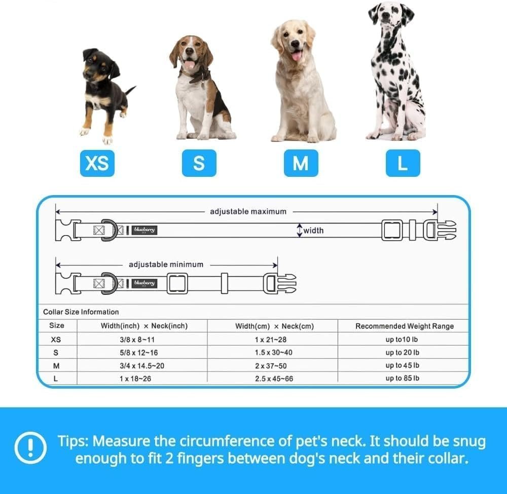 Blueberry Pet Essential Large Safety Reflective Dog Collar in FieryRed | Adjustable Classic Nylon Strap | Durable, Stylish & High-Visibility Pet Accessory - Image 6