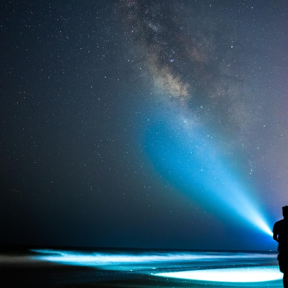 MagLite ML300L LED 3-Cell D Display Box, Black - Image 2